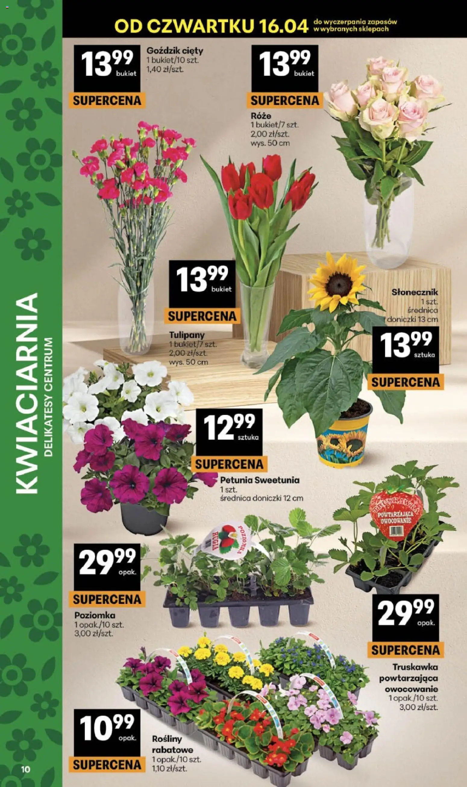 Delikatesy Centrum gazetka od 16.04.2026 | Strona: 10 | Produkty: Goździk, Delikatesy, Rosliny, Doniczki