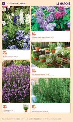 Intermarché - Prévisualisation de Intermarché - Jardin mars valide à partir de 24.02.2026 | Page: 4 | Produits: Hortensia, Lavande, Terre de bruyère