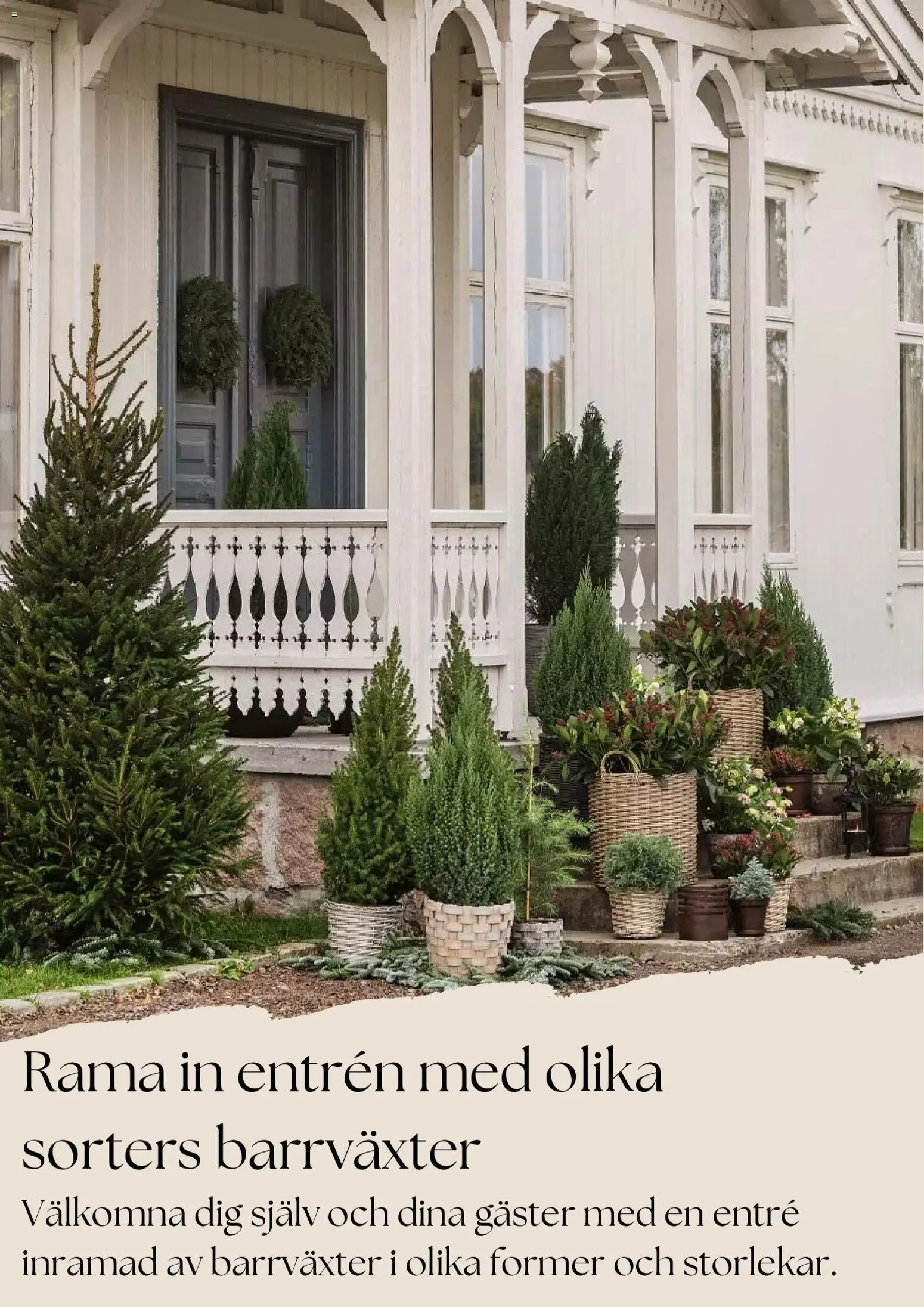 Plantagen reklamblad aktuell från 27.11.2025 | Sida: 8