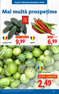 Noul catalog Lidl – valabil de la 08.09.2025 | Pagină: 47