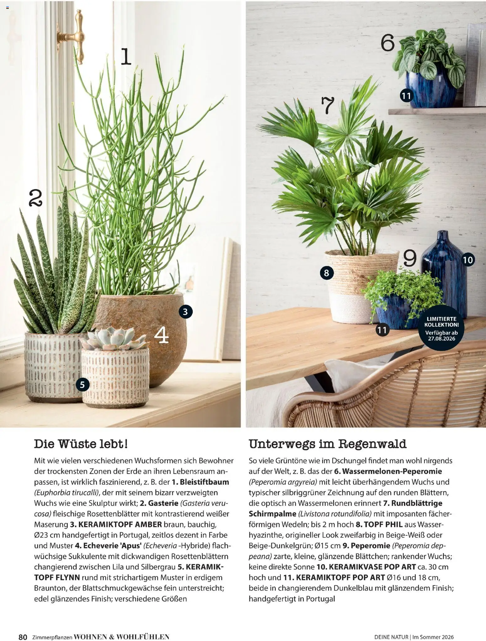 Dehner Flugblatt gültig ab 01.05.2026 | Seite: 80 | Produkte: Wasser