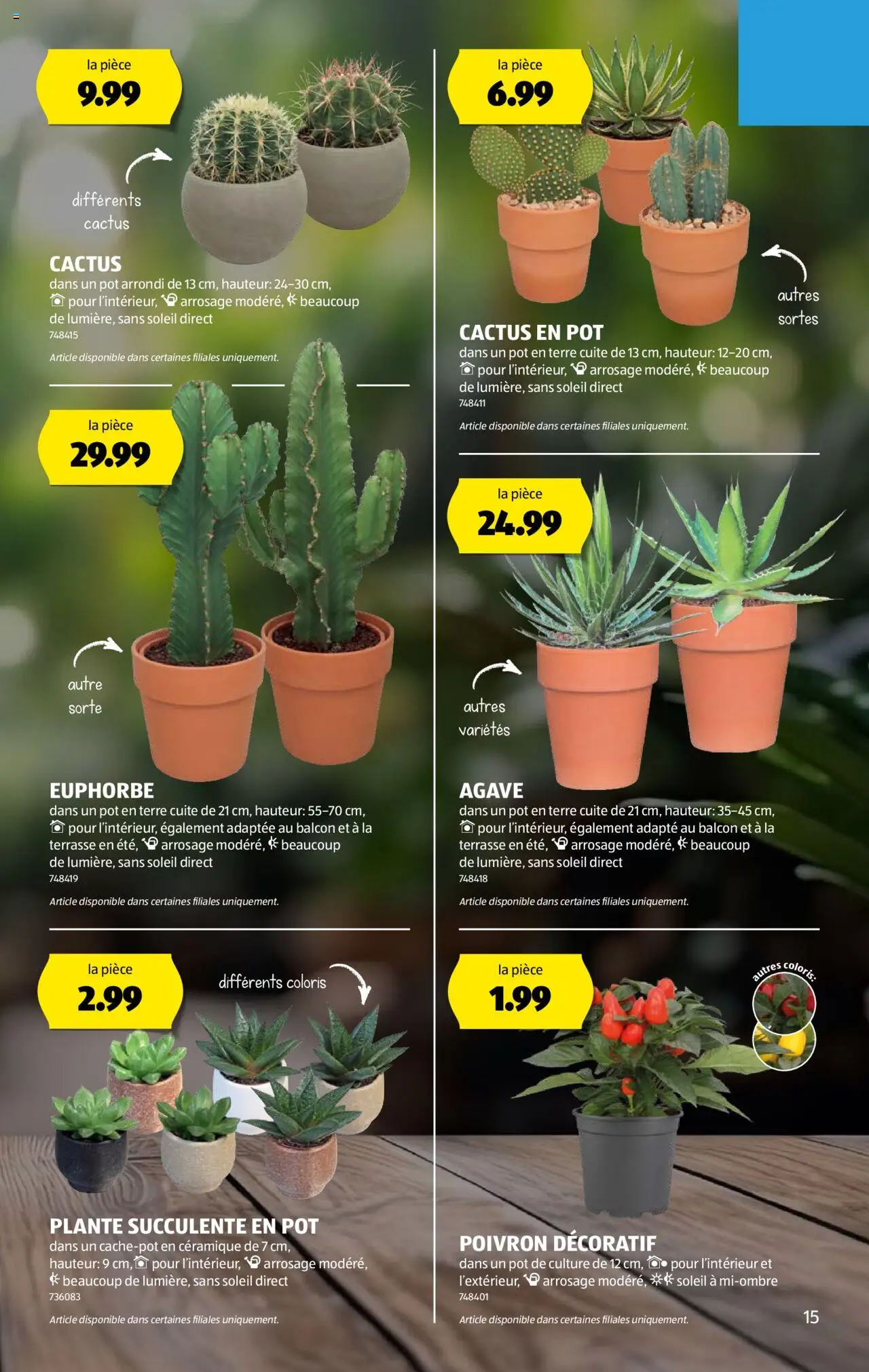Aldi Prospectus ab 07.08.2025 | Seite: 15 | Produkte: Ipod
