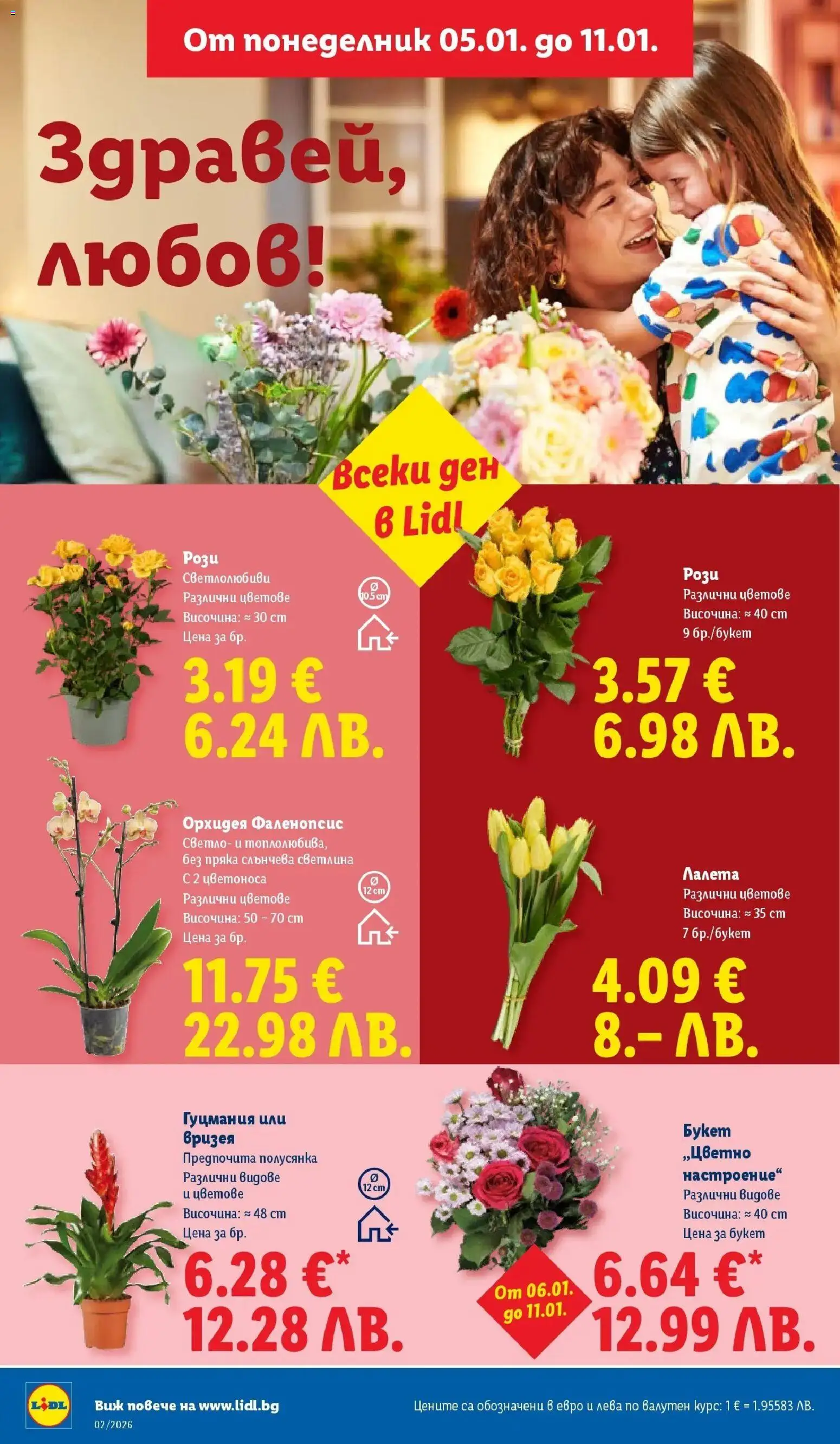 {H1} | Страница: 50 | Продукти: Орхидея