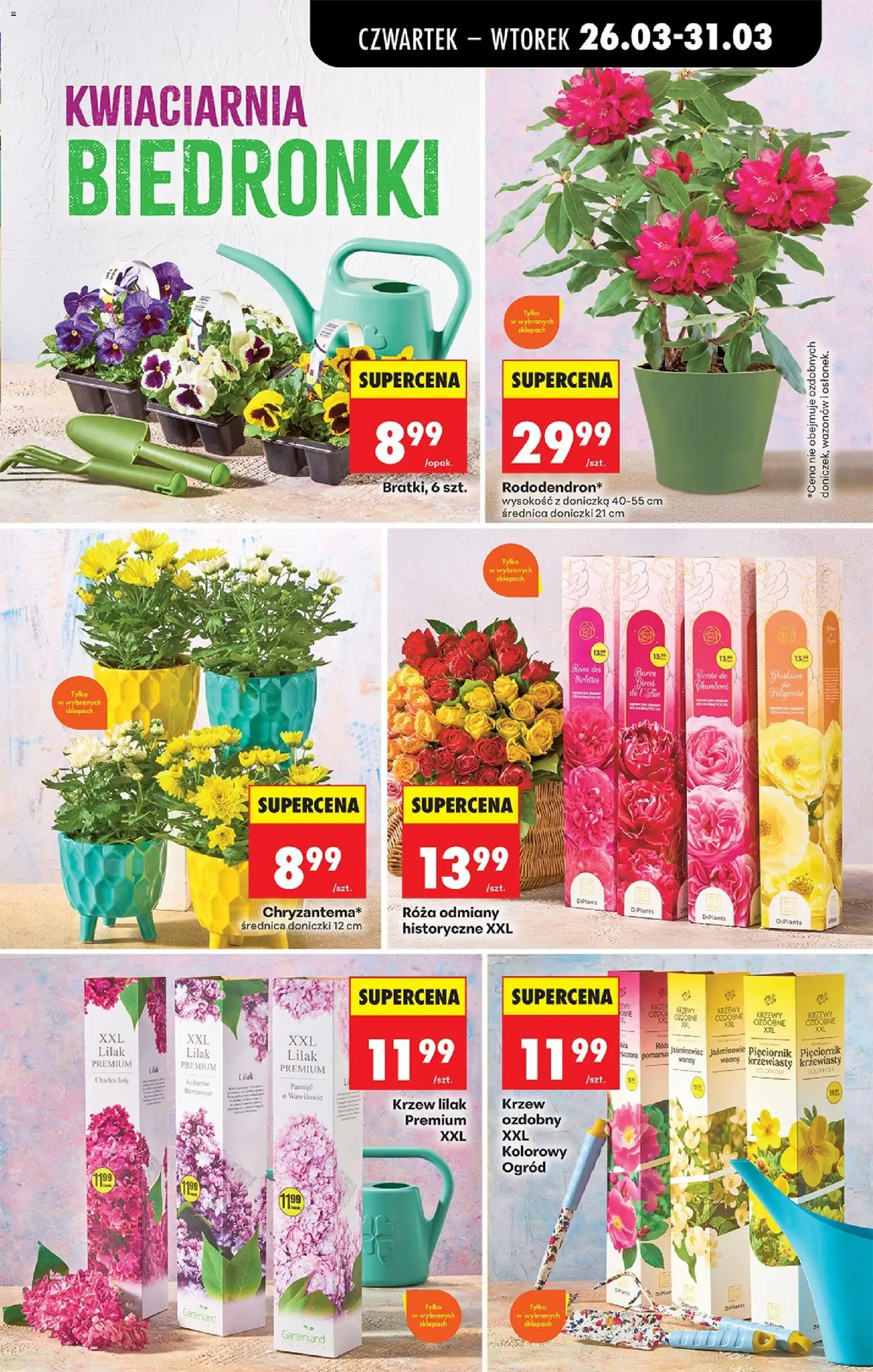 Biedronka gazetka od czwartku od 26.03.2026 | Strona: 83 | Produkty: Bratki, Doniczka, Doniczki