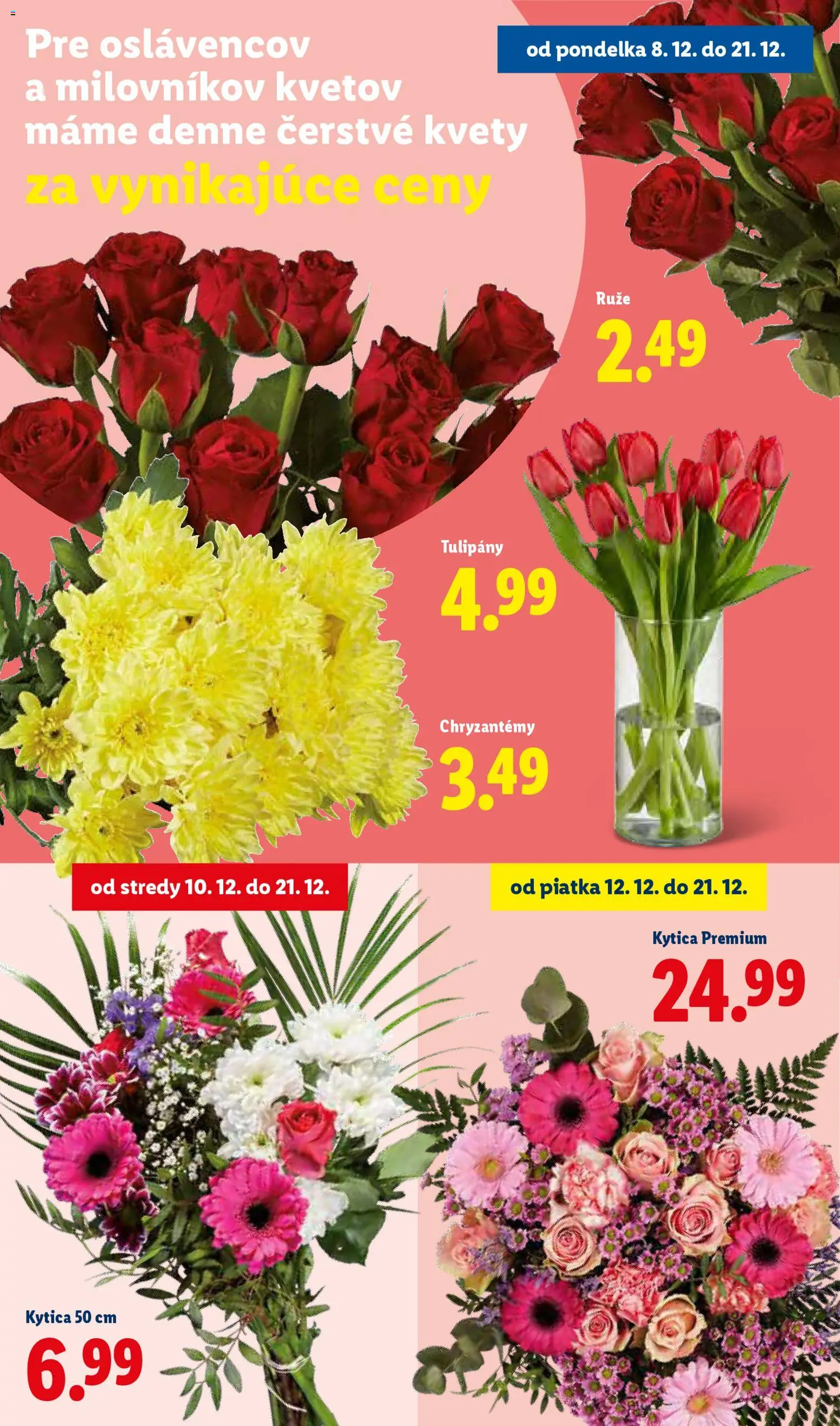 Nové Lidl akcie – leták je platný od 11.12.2025 | Strana: 22 | Produkty: Kvety, Tulipány, Ruže