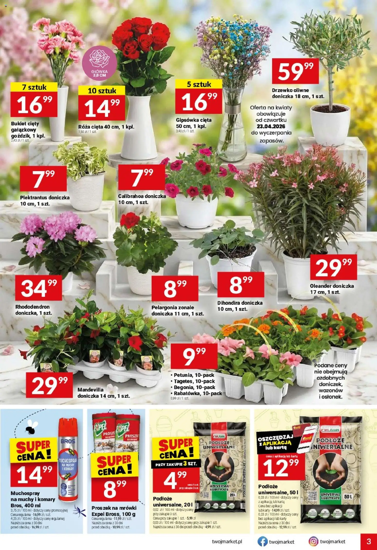 Twój Market gazetka od 22.04.2026 | Strona: 3 | Produkty: Karta, Doniczka, Kwiaty