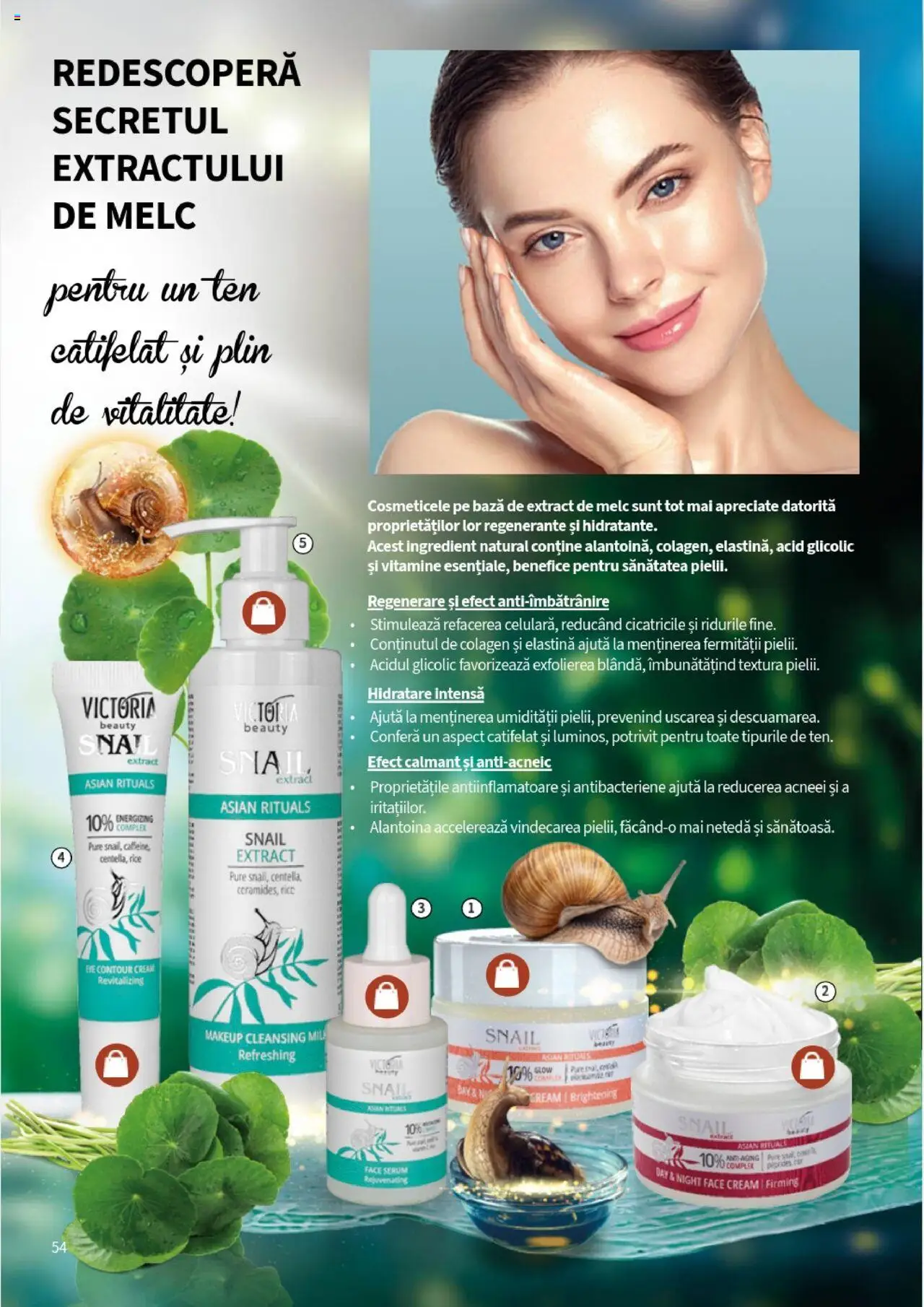 Noul catalog Lady’s – valabil de la 25.09.2025 | Pagină: 56 | Produse: Serum