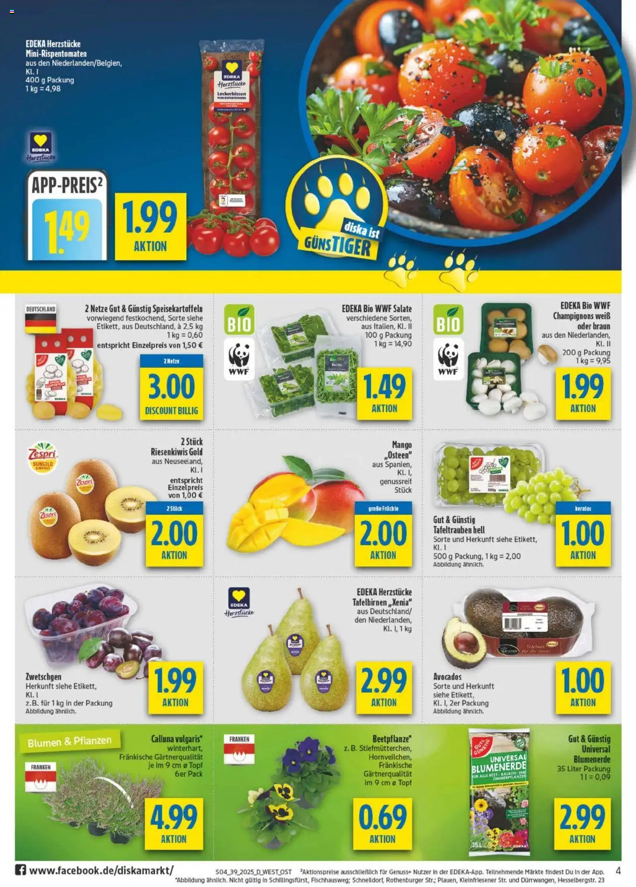 Diska - diska Angebote Bayern KW39 – gültig ab 22.09.2025 | Seite: 4 | Produkte: Blumen, Zwetschgen, Champignons, Mango