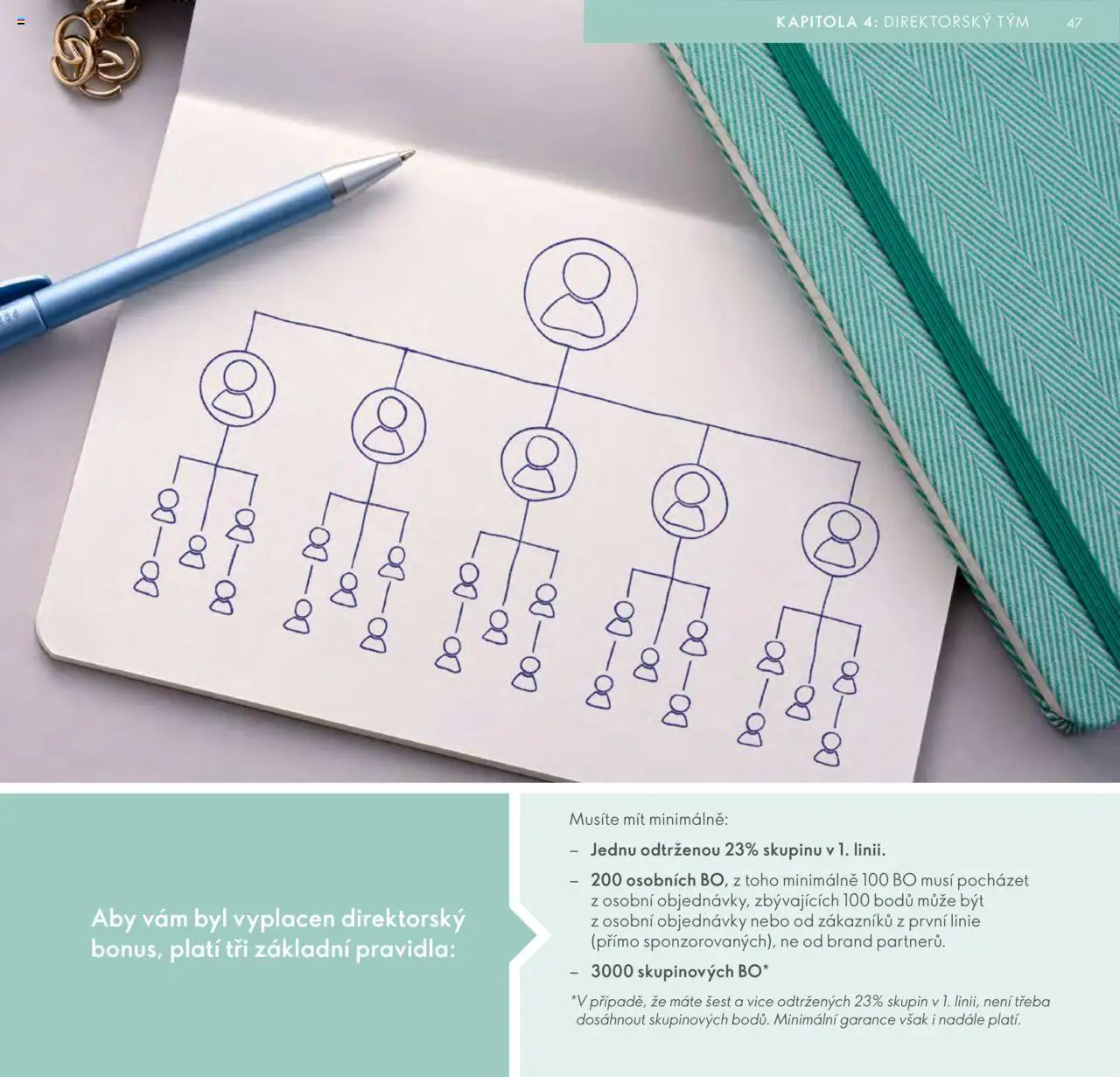 Oriflame katalog Plán odměn pro Brand Partnery od 10.04.2025 | Strana: 47