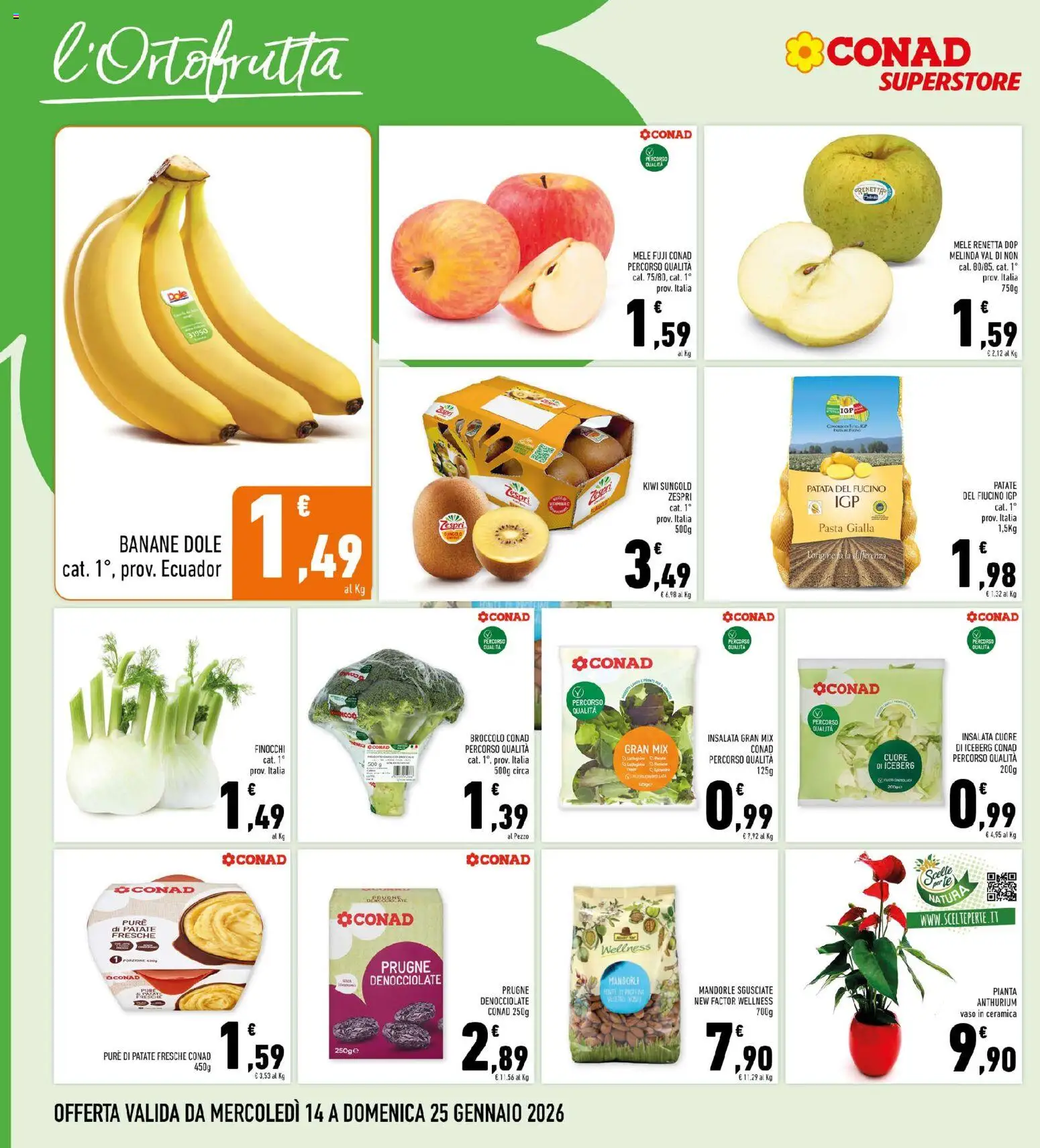 Volantino Conad del 14.01.2026 | Pagina: 4 | Prodotti: Kiwi, Insalata, Pasta, Broccoli