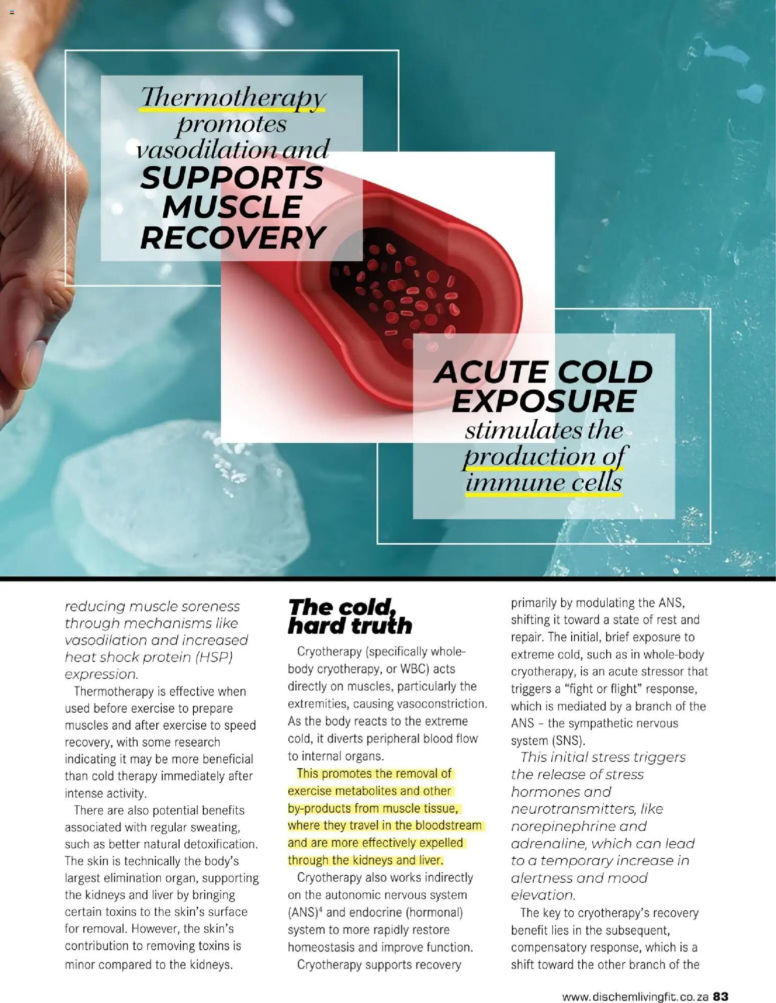 New Dis-Chem catalogue – valid from 26.11.2025 | Page: 85 | Products: Drone, Detergente líquido