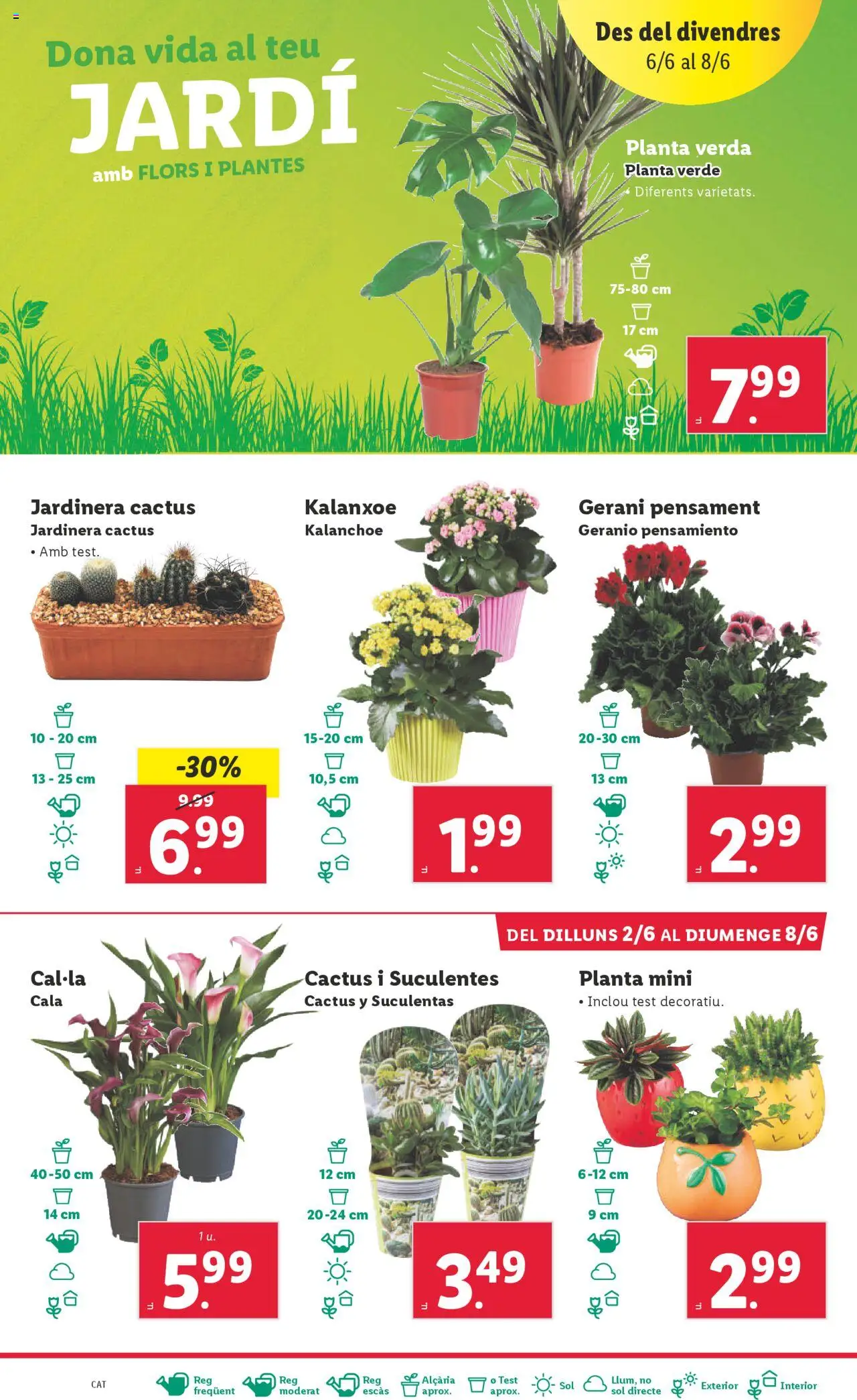 Lidl catálogo BCN │ válido desde el 02.06.2025 | Página: 36 | Productos: Jardinera