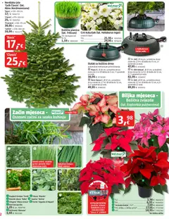 Katalog Bauhaus - Pregled kataloga iz trgovine Bauhaus, vrijedi od 01.12.2025 | Stranica: 2 | Proizvodi: Miris, Začini, Ružmarin, Peršin