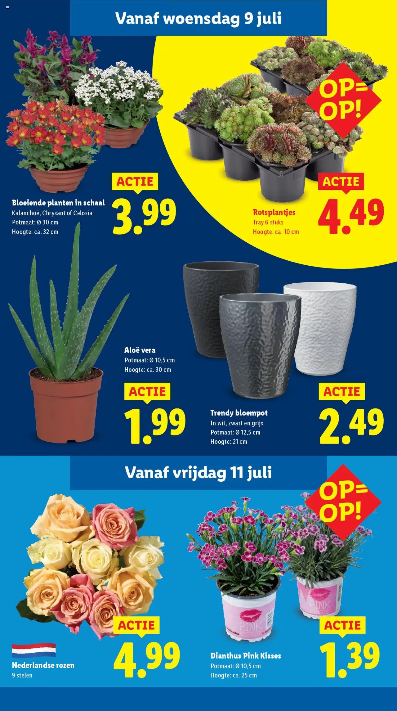  | Pagina: 13 | Producten: Pot, Schaal