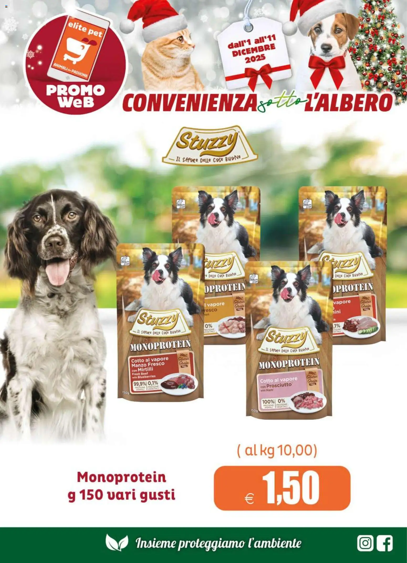 Volantino Elite Supermercati del 01.12.2025 | Pagina: 3 | Prodotti: Manzo, Mirtilli