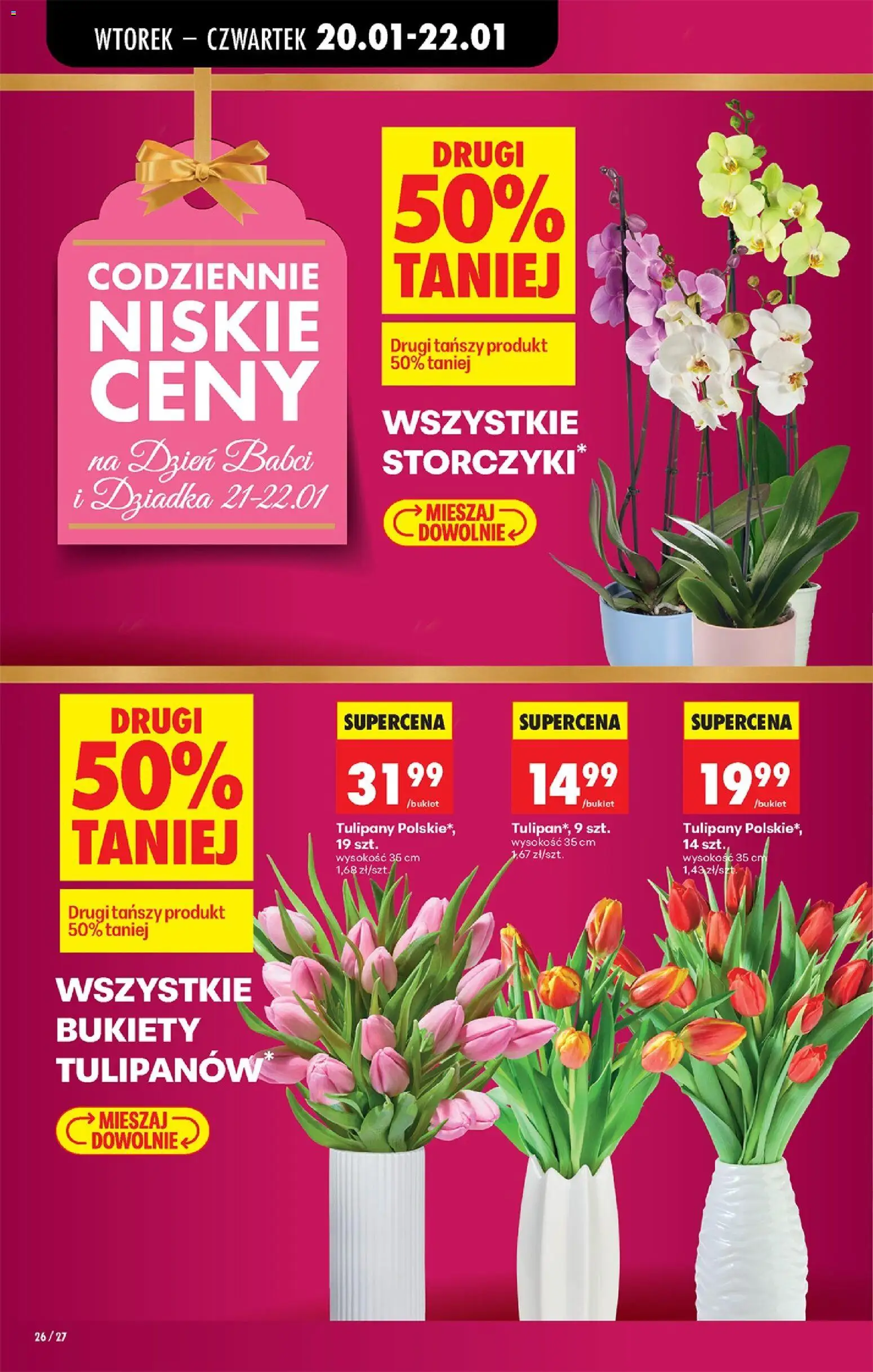 Biedronka gazetka od 19.01.2026 | Strona: 28 | Produkty: Storczyki, Tulipany