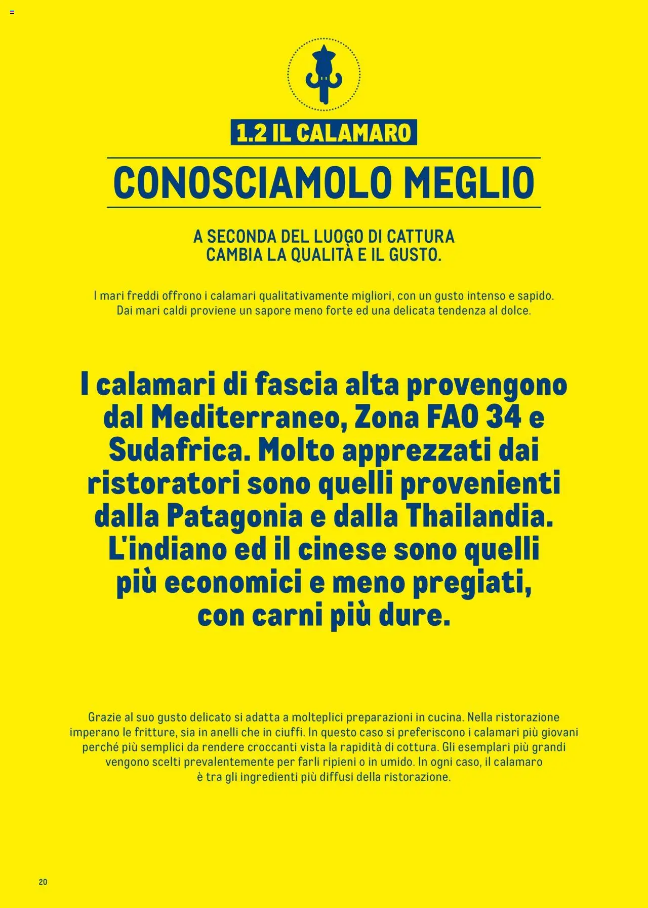 Volantino Metro del 30.06.2025 | Pagina: 20 | Prodotti: Calamari