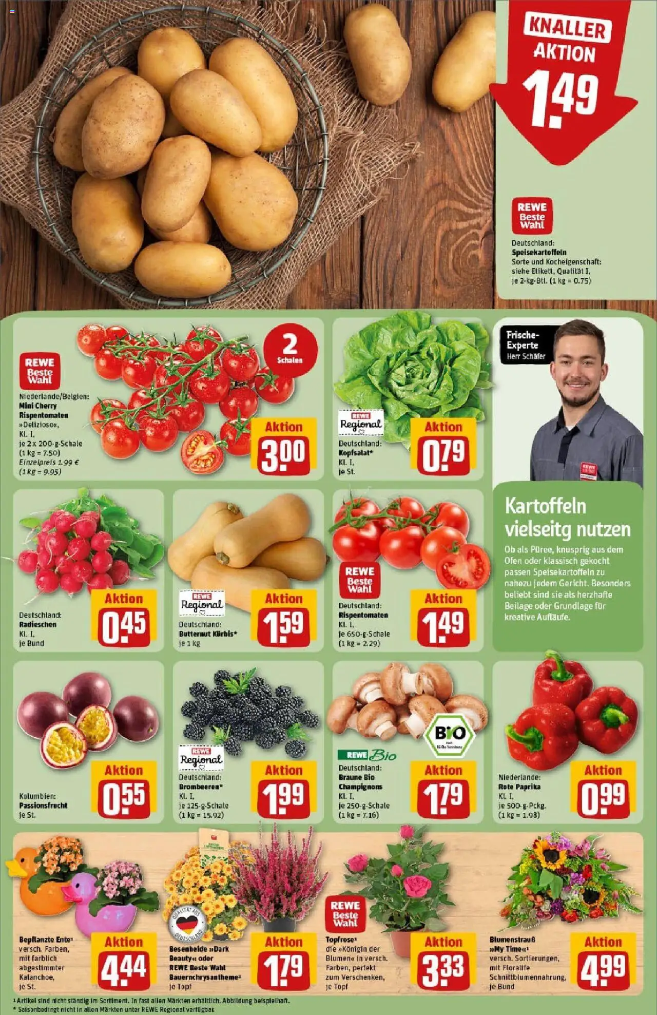 Rewe prospekt Stockstadt	 – gültig ab 01.09.2025 | Seite: 9 | Produkte: Ofen, Champignons, Kartoffeln, Paprika