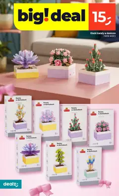 Pogląd oferty "Dealz Gazetka" - ważna od 29.01.2026 | Strona: 28 | Produkty: Kwiaty
