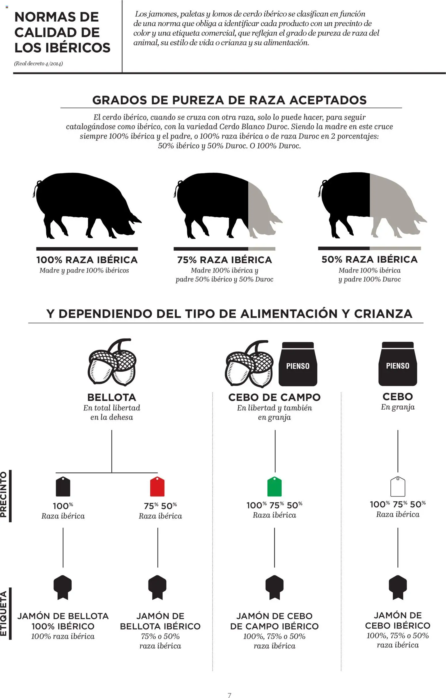 El Corte Inglés ofertas │ válido desde el 29.01.2026 | Página: 7 | Productos: Jamón, Cerdo