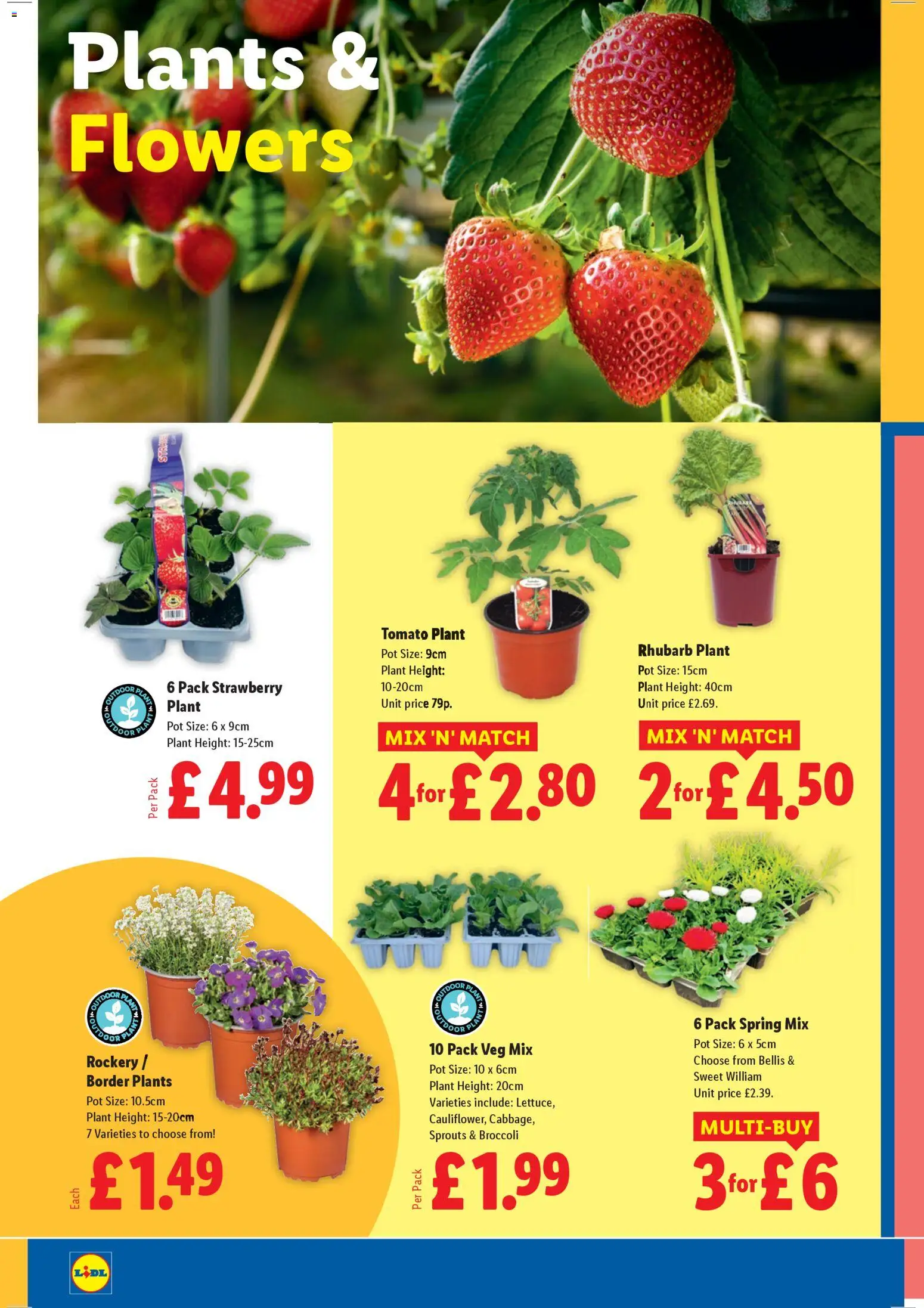 {H1} | Page: 28 | Products: Broccoli, Pot, Plant pot, Strawberry