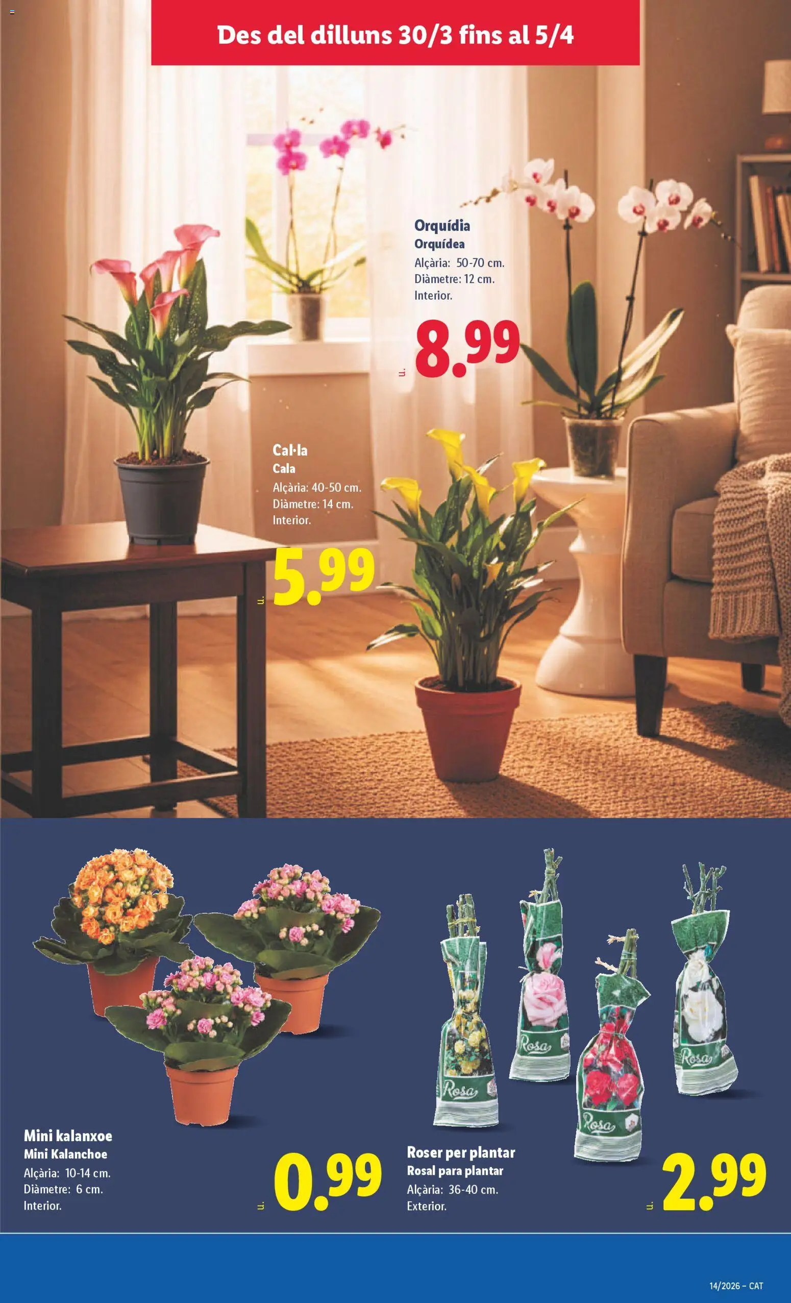 Lidl folleto │ válido desde el 30.03.2026 | Página: 43