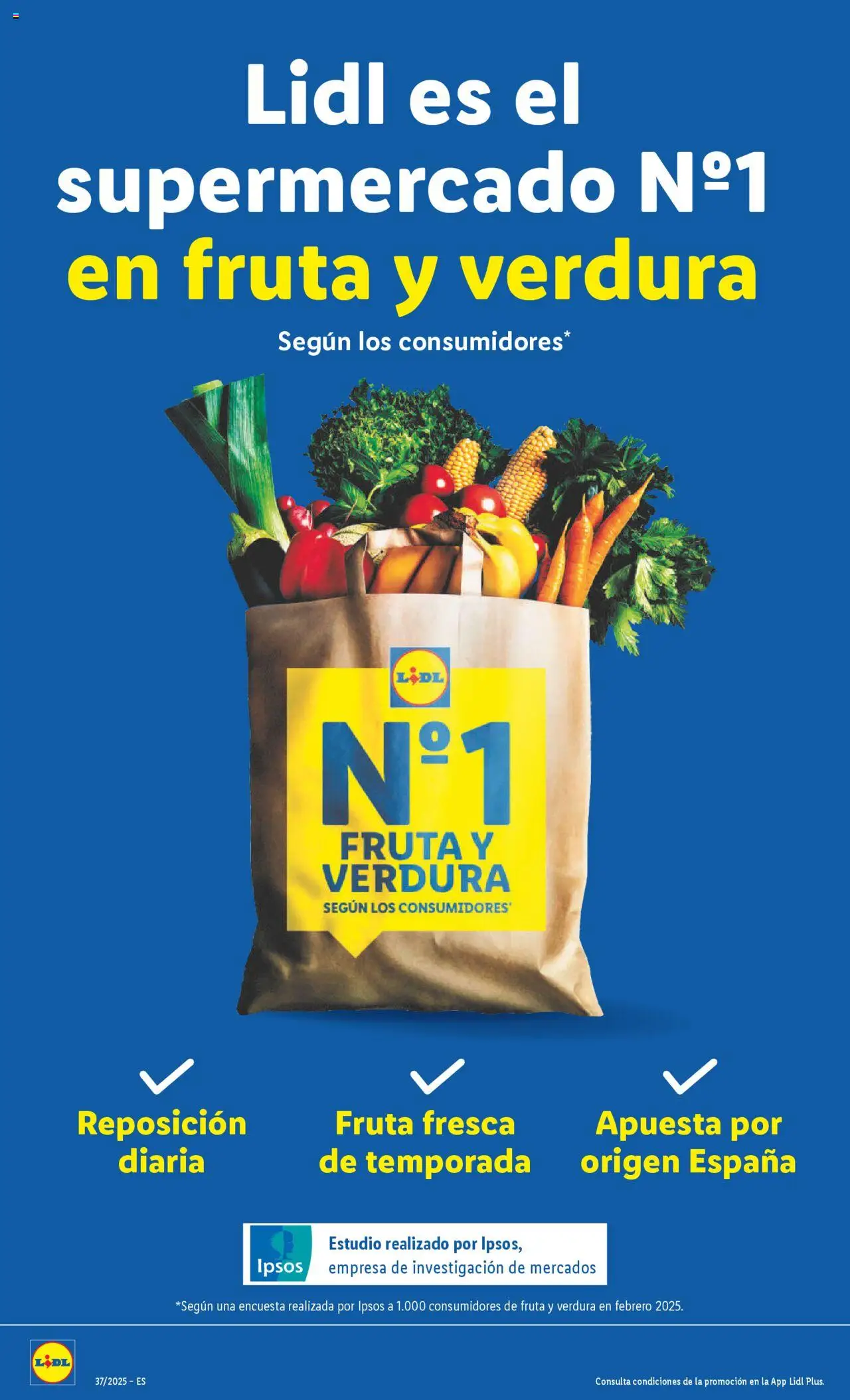 Lidl folleto │ válido desde el 08.09.2025 | Página: 10