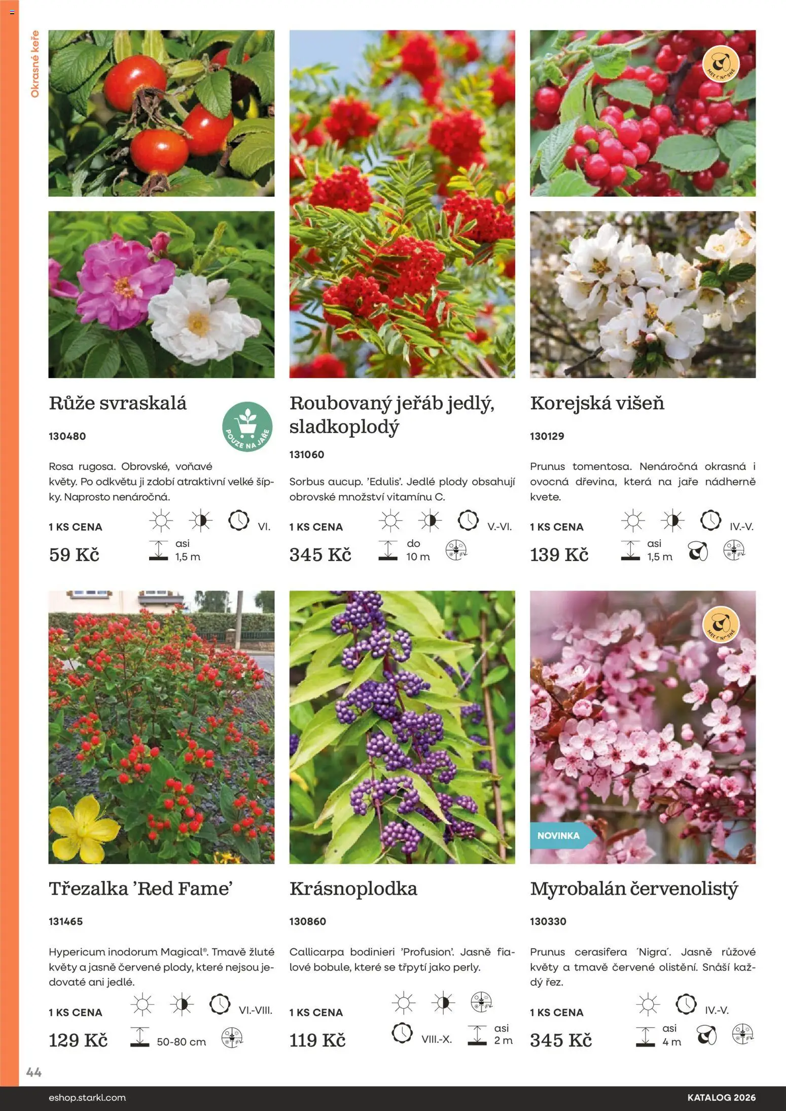 Starkl katalog od 25.02.2026 | Strana: 44