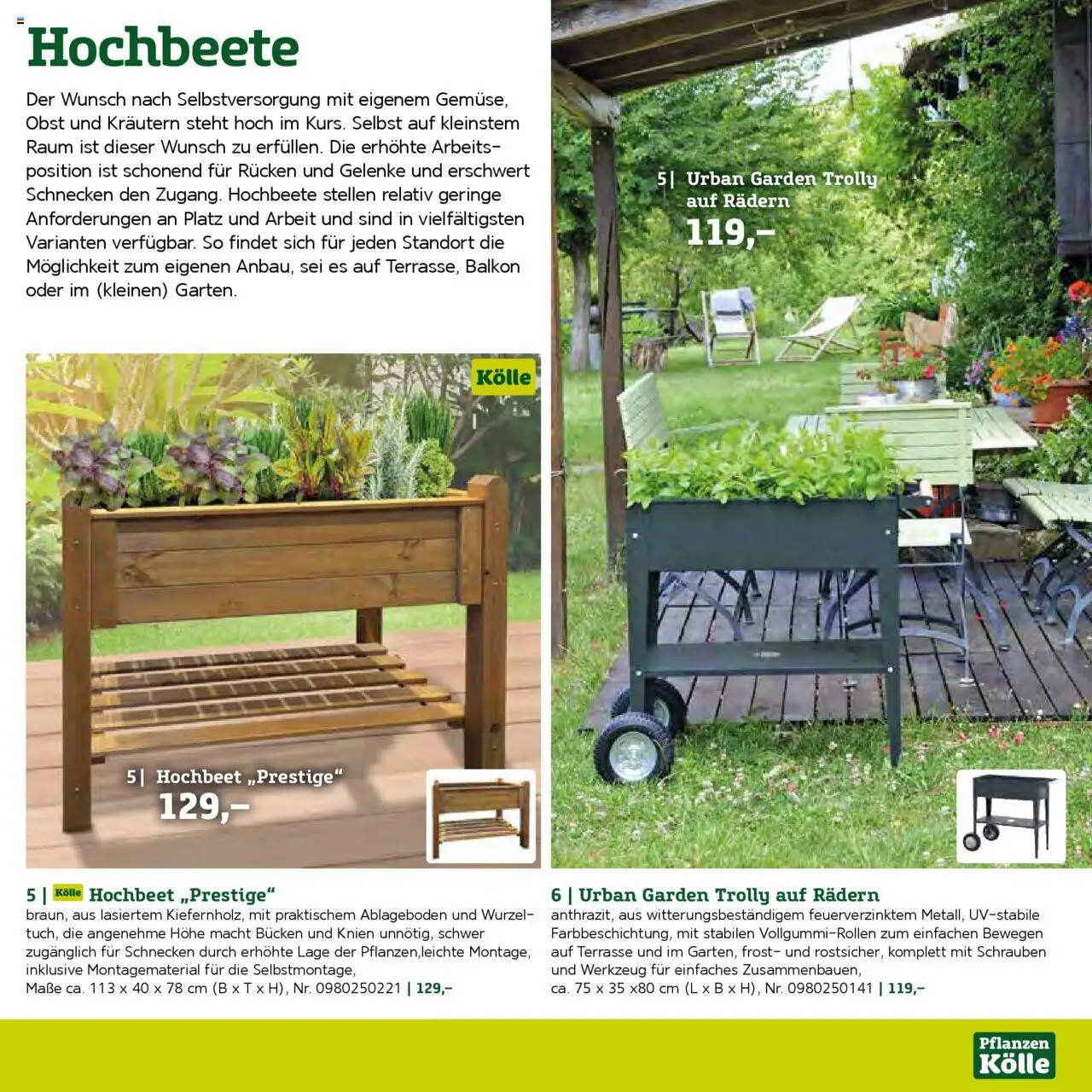 Pflanzen-Kölle Gartenmöbel Katalog 2025 – gültig ab 22.01.2025 | Seite: 79 | Produkte: Hochbeet, Obst