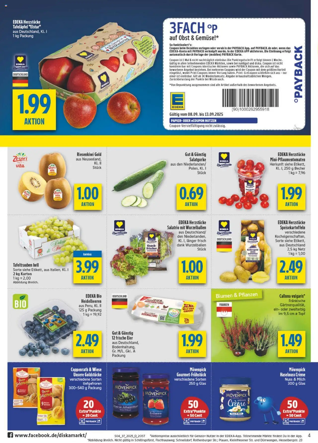 Diska Prospekt 	 – gültig ab 08.09.2025 | Seite: 4 | Produkte: Blumen, Creme, Heidelbeeren, Gemüse