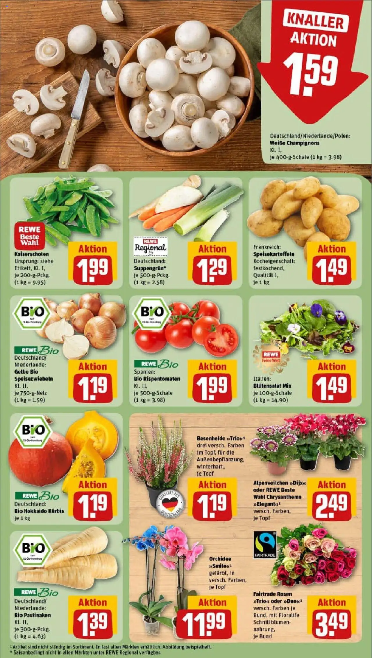 Rewe prospekt Duisburg	 – gültig ab 28.09.2025 | Seite: 11 | Produkte: Orchidee, Champignons, Kürbis