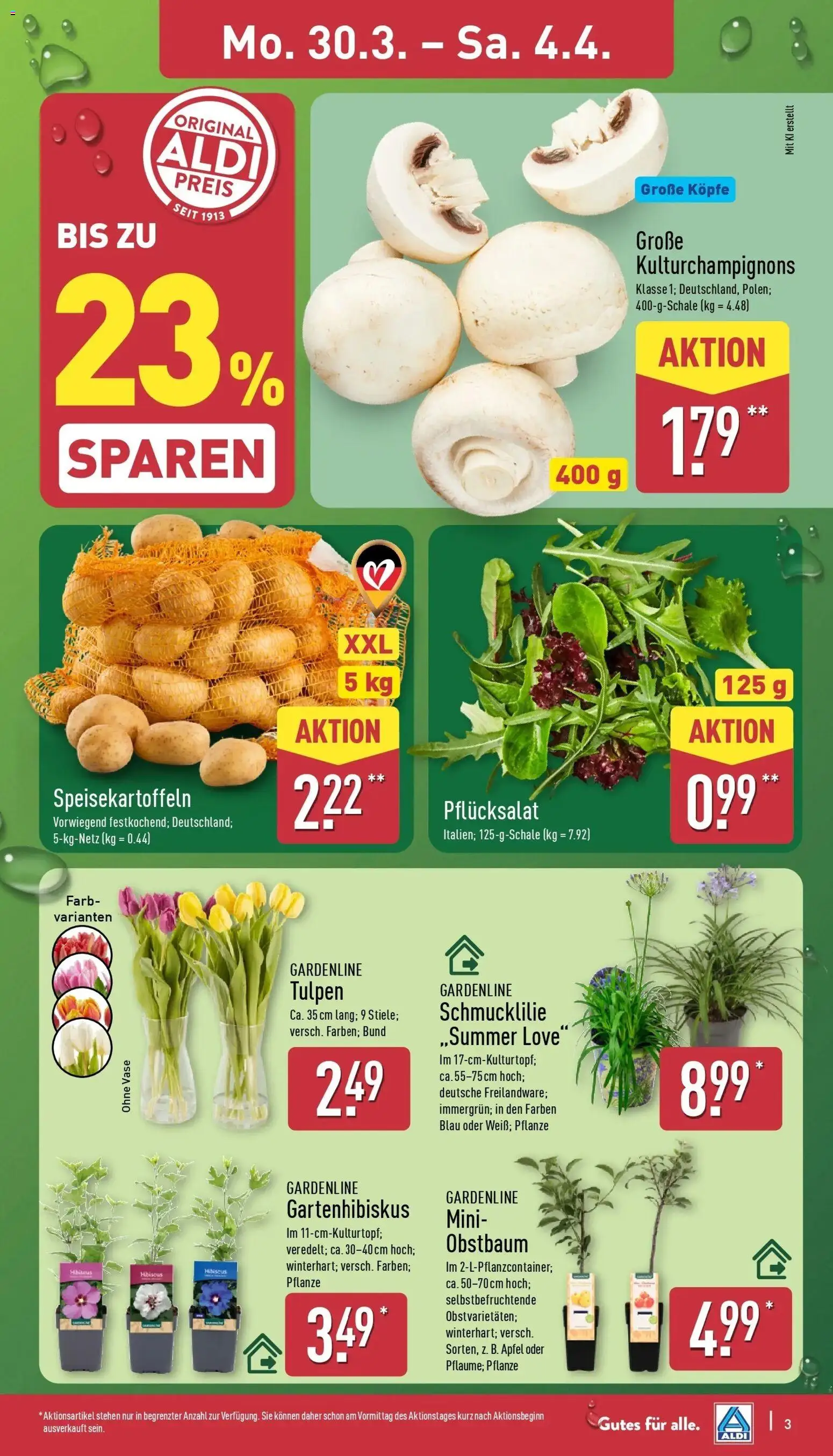 Aldi Wochenangebote – gültig ab 30.03.2026 | Seite: 3 | Produkte: Vase, Äpfel