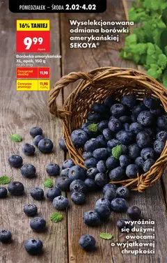Pogląd oferty "Biedronka gazetka" - ważna od 02.02.2026 | Strona: 24 | Produkty: Borówka amerykańska