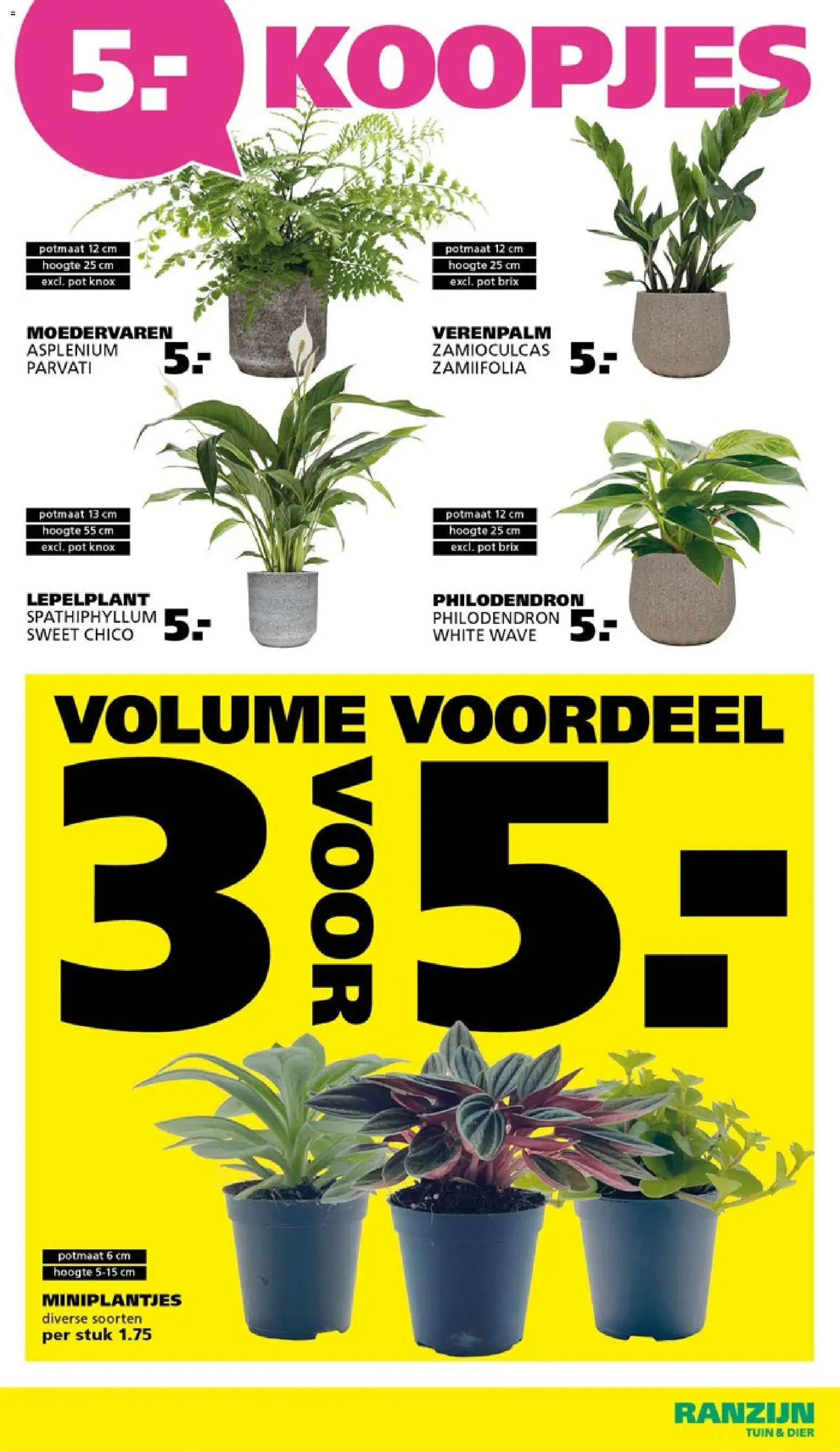 {H1} | Pagina: 4 | Producten: Pot