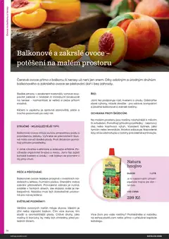 Náhled letáku Starkl katalog od 25.02.2026 | Strana: 14 | Produkty: Ovoce, Jahody, Maliny, Hnojivo