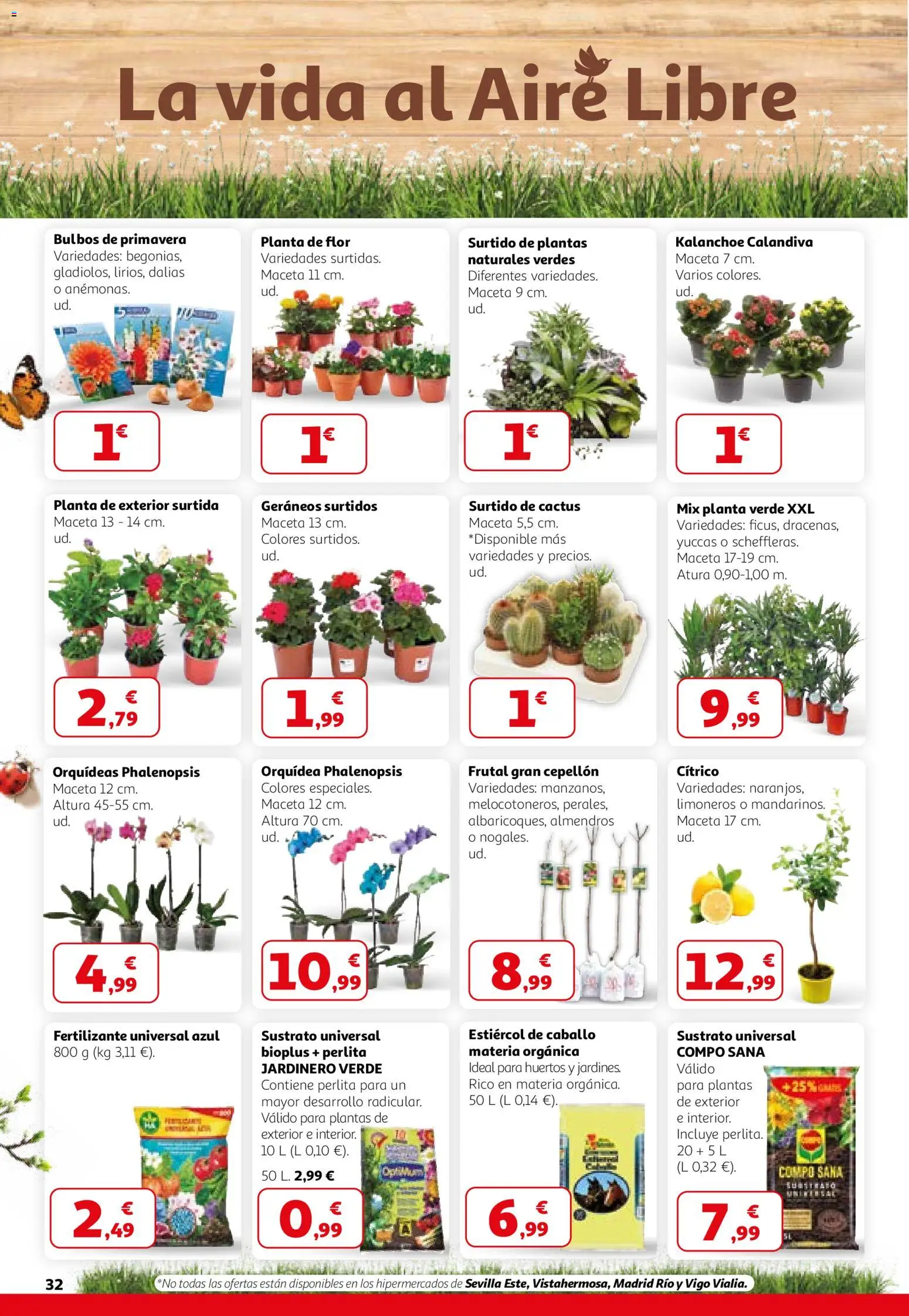 Alcampo - HG Catalán │ válido desde el 26.02.2026 | Página: 32 | Productos: Maceta