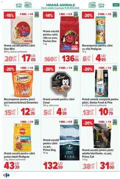 Ofertele Carrefour valabile de la 15.10.2025 | Pagină: 15 | Produse: Yazı tahtası kalemi, Mere, Apă