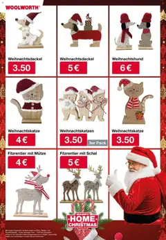 Woolworth  Weihnachtskatalog! ab 24.10.2025 gültig | Seite: 38 | Produkte: Schal