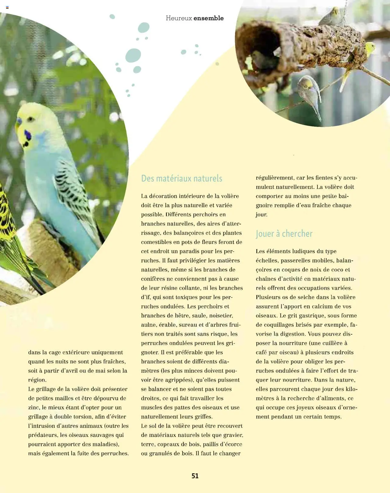  | Page: 51 | Produits: Noix de coco, Cage, Café, Noix