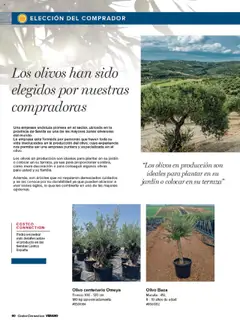 Costco catálogo │ válido desde el 03.07.2025 | Página: 40