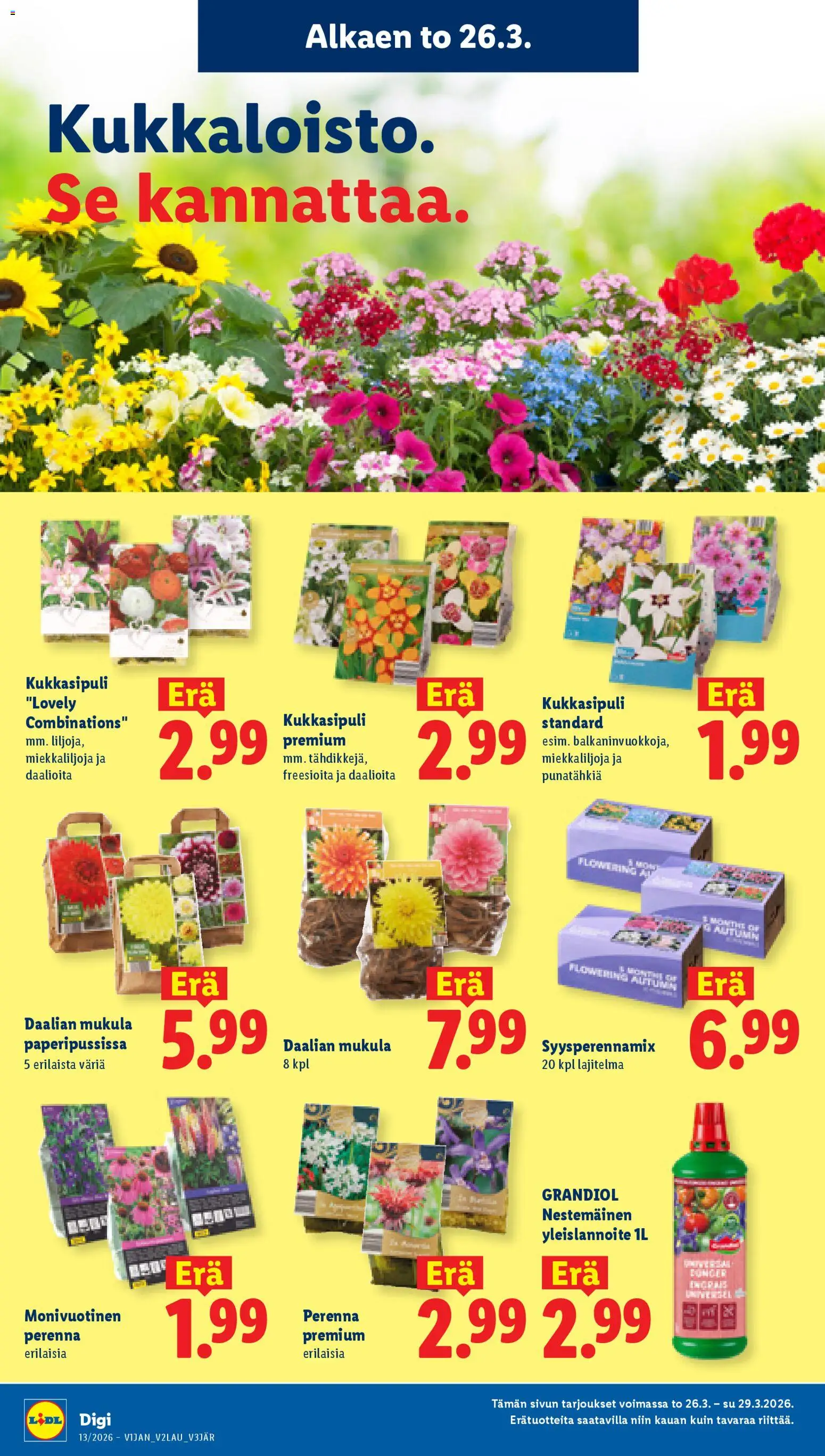 Lidl tarjoukset - Rovaniemi – voimassa 26.03.2026 alkaen | Sivu: 31