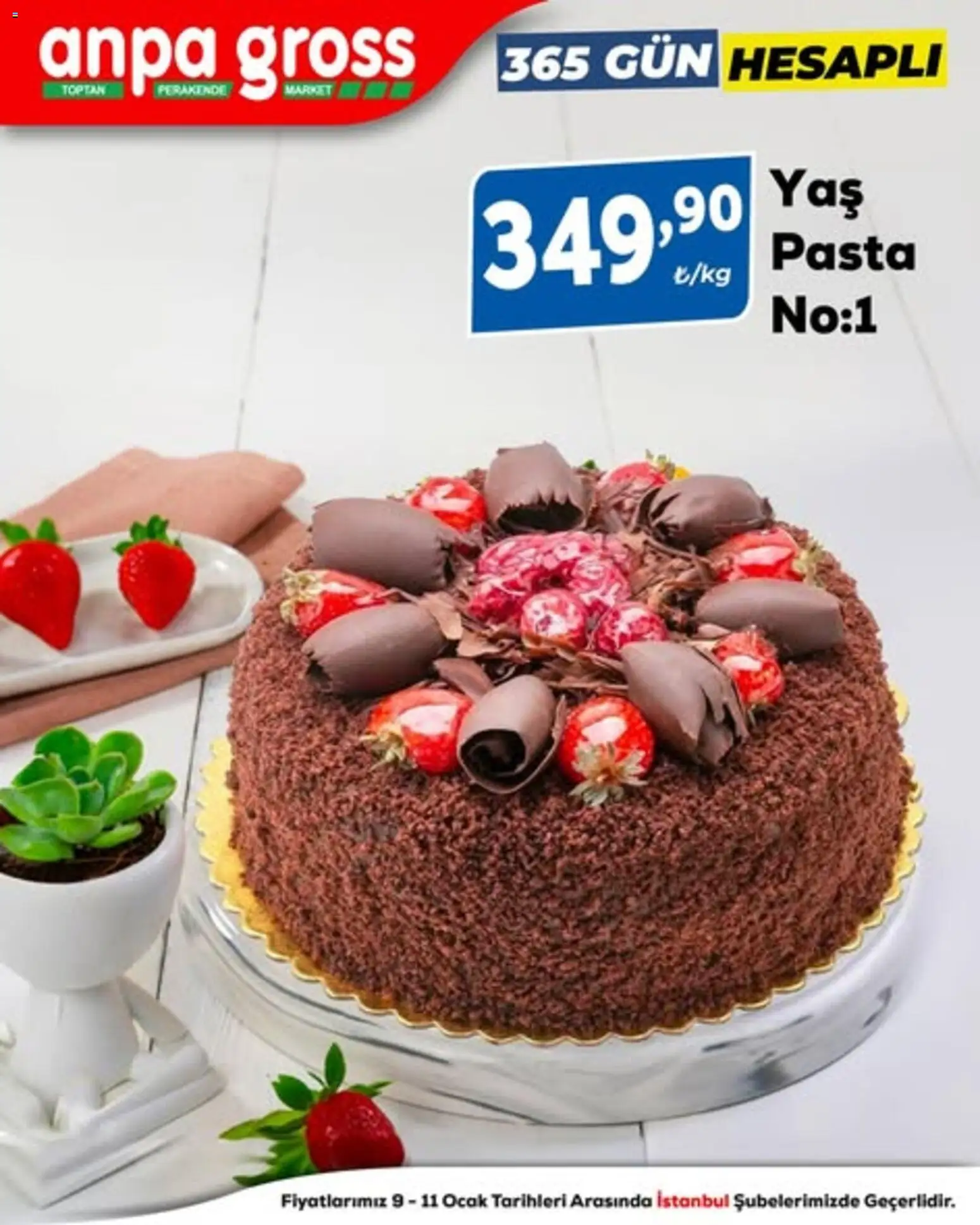 Anpa Gross - 365 Gün Hesaplı - 09.01.2026 tarihinden itibaren geçerlidir | Sayfa: 1 | Ürünler: Ocak