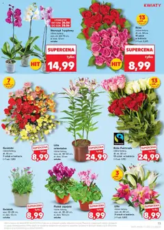 Kaufland gazetka od 26.06.2025 | Strona: 13