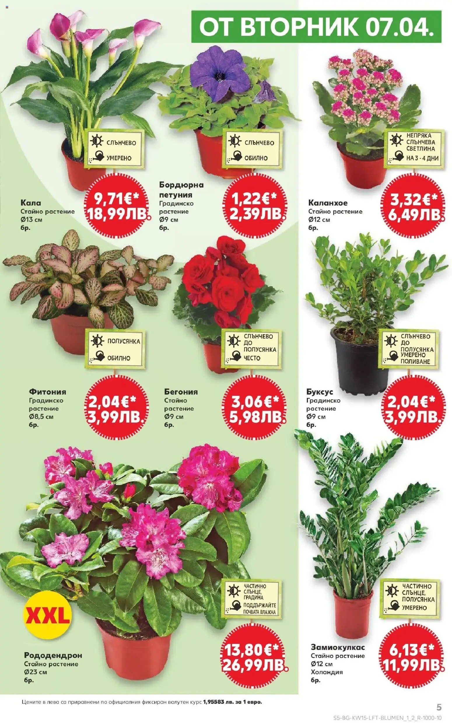 {H1} | Страница: 5