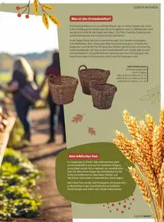 V-Markt - Vielfalt – gültig ab 01.09.2025 | Seite: 7 | Produkte: Wein, Getreide