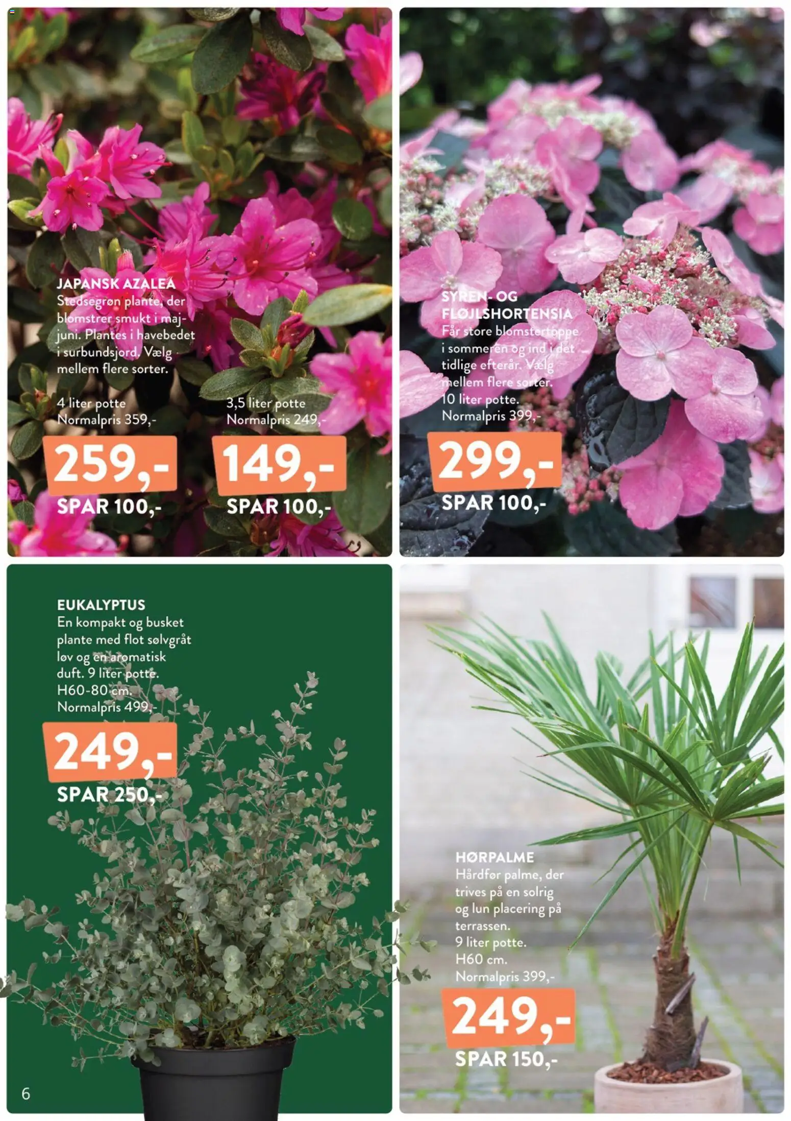 Plantorama tilbudsavis – gyldig fra 10.04.2026 | Side: 6