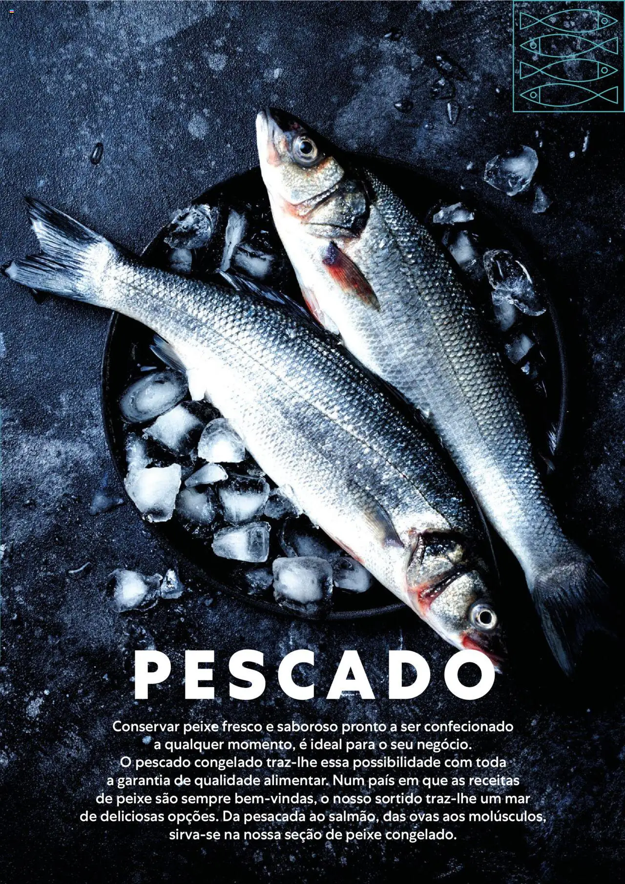 Recheio - Congelados do Mar e da Terra │ válido de 14.07.2025 | Página: 13 | Produtos: Peixe