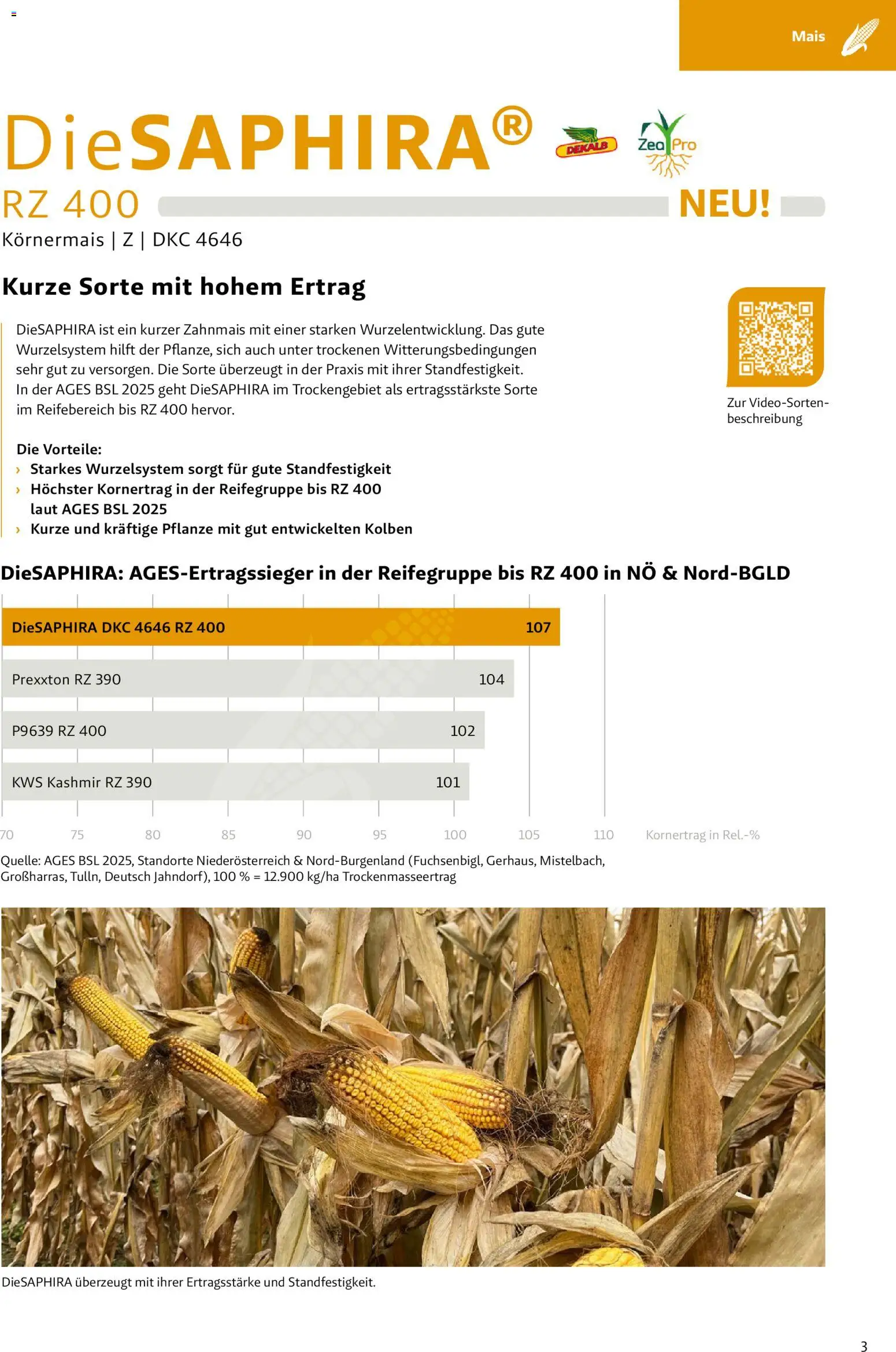 Lagerhaus - Frühjahr 2026 Östliches  Niederösterreich gültig ab 01.03.2026 | Seite: 3