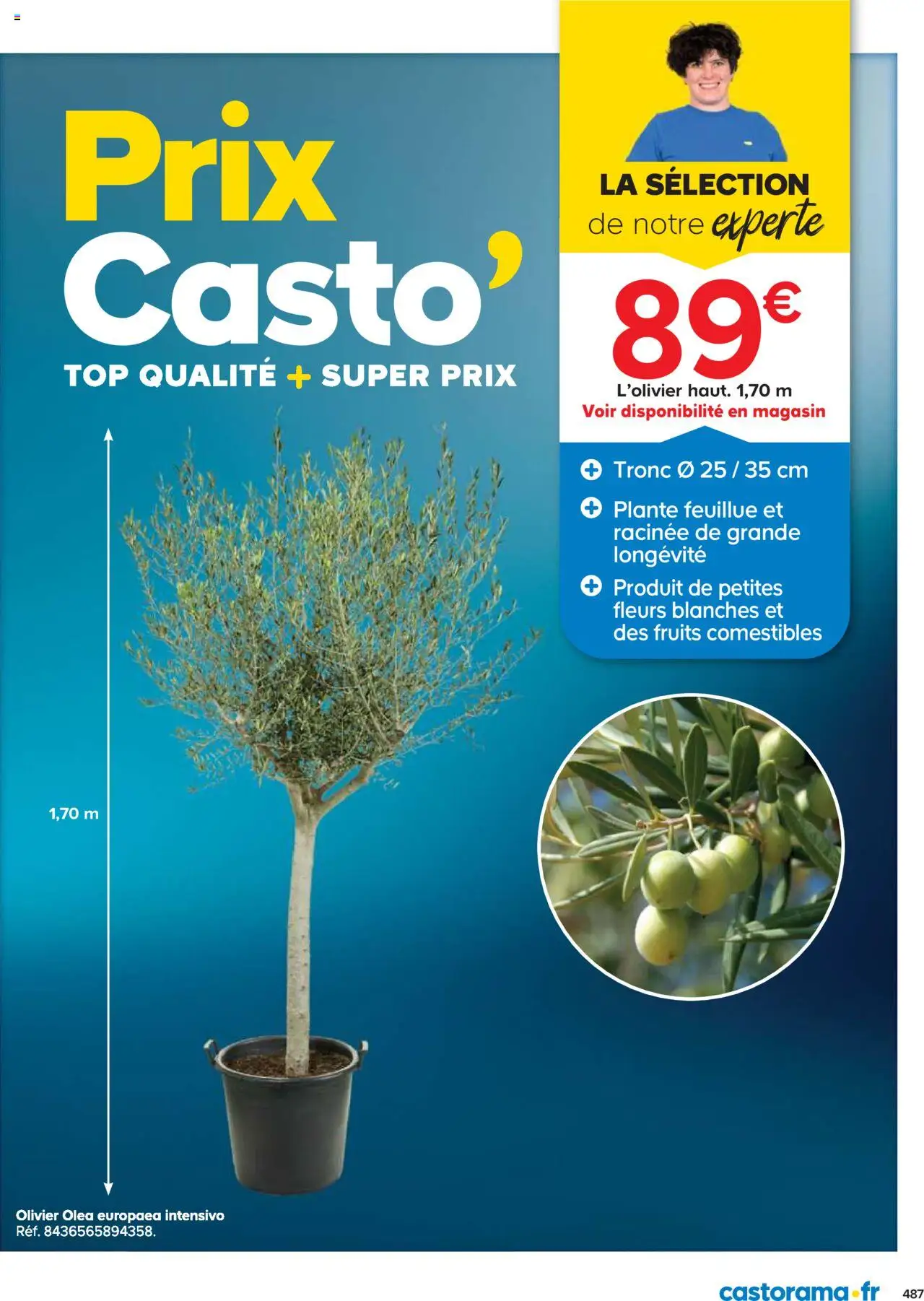 {H1} | Page: 487 | Produits: Olivier