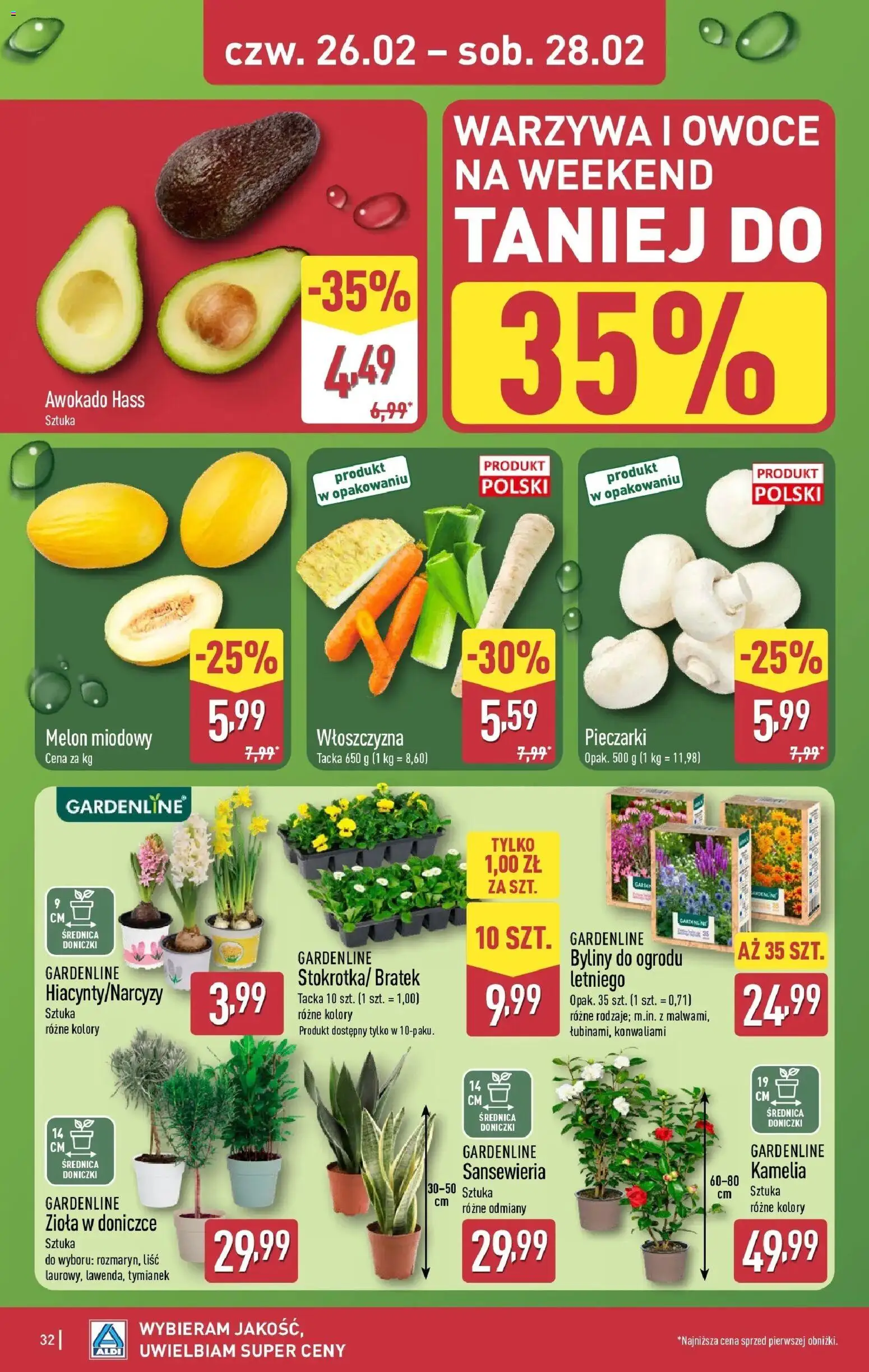 Aldi Gazetka od 23.02.2026 | Strona: 32 | Produkty: Melon, Pieczarki, Doniczki, Awokado